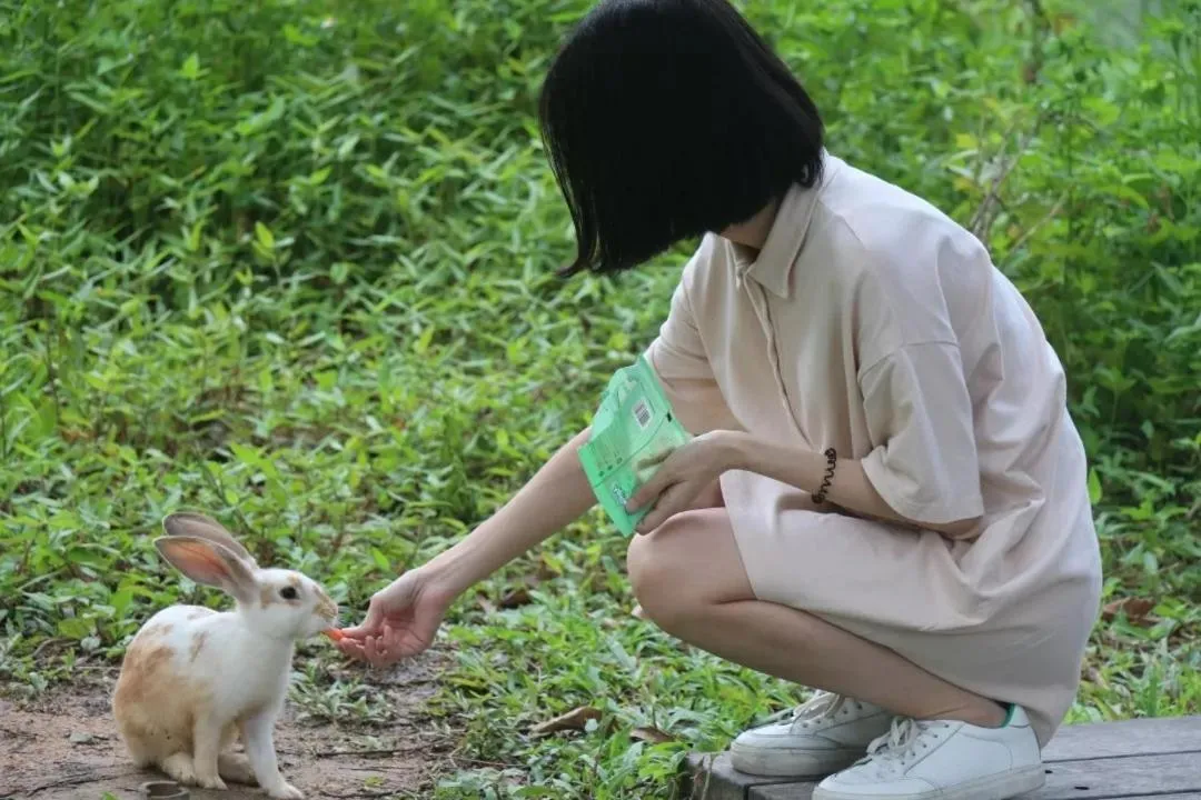 Property building in Taihua Wutong Hotel