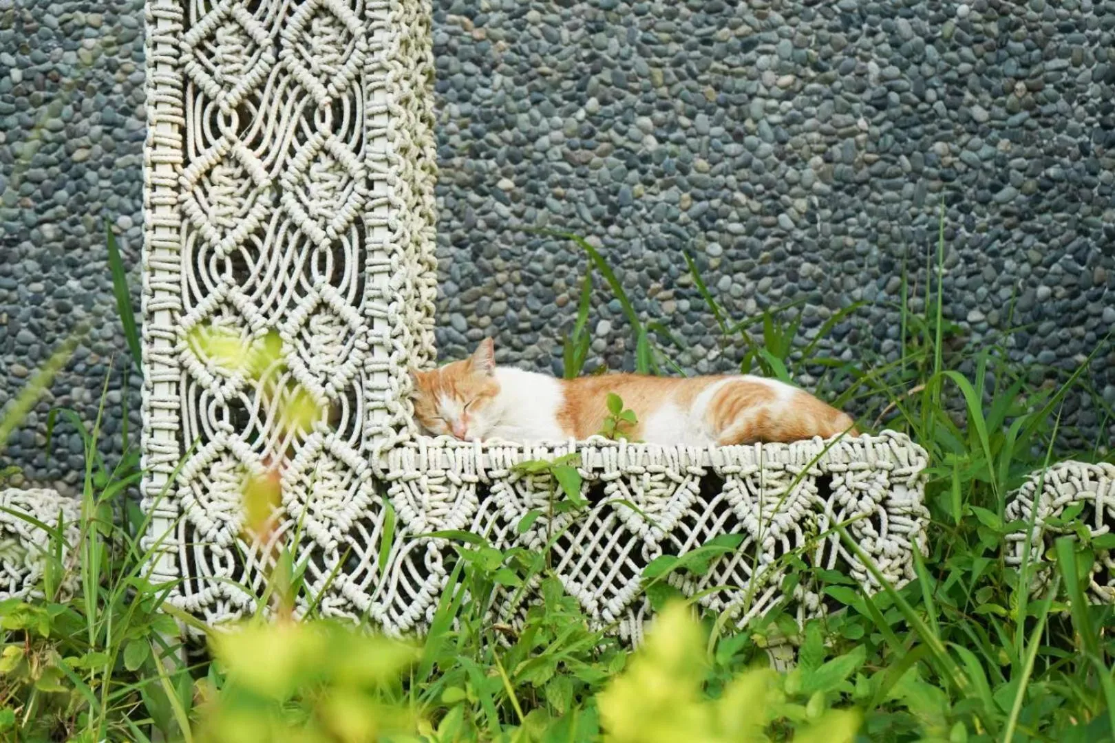 Off site in Taihua Wutong Hotel