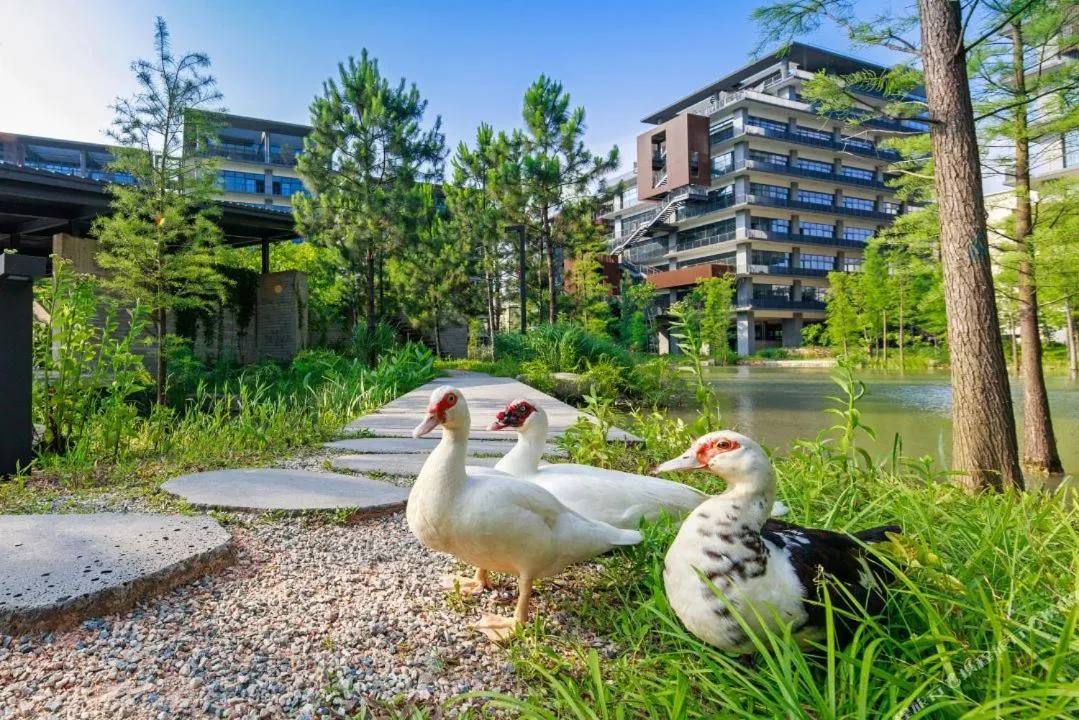 Property building in Taihua Wutong Hotel