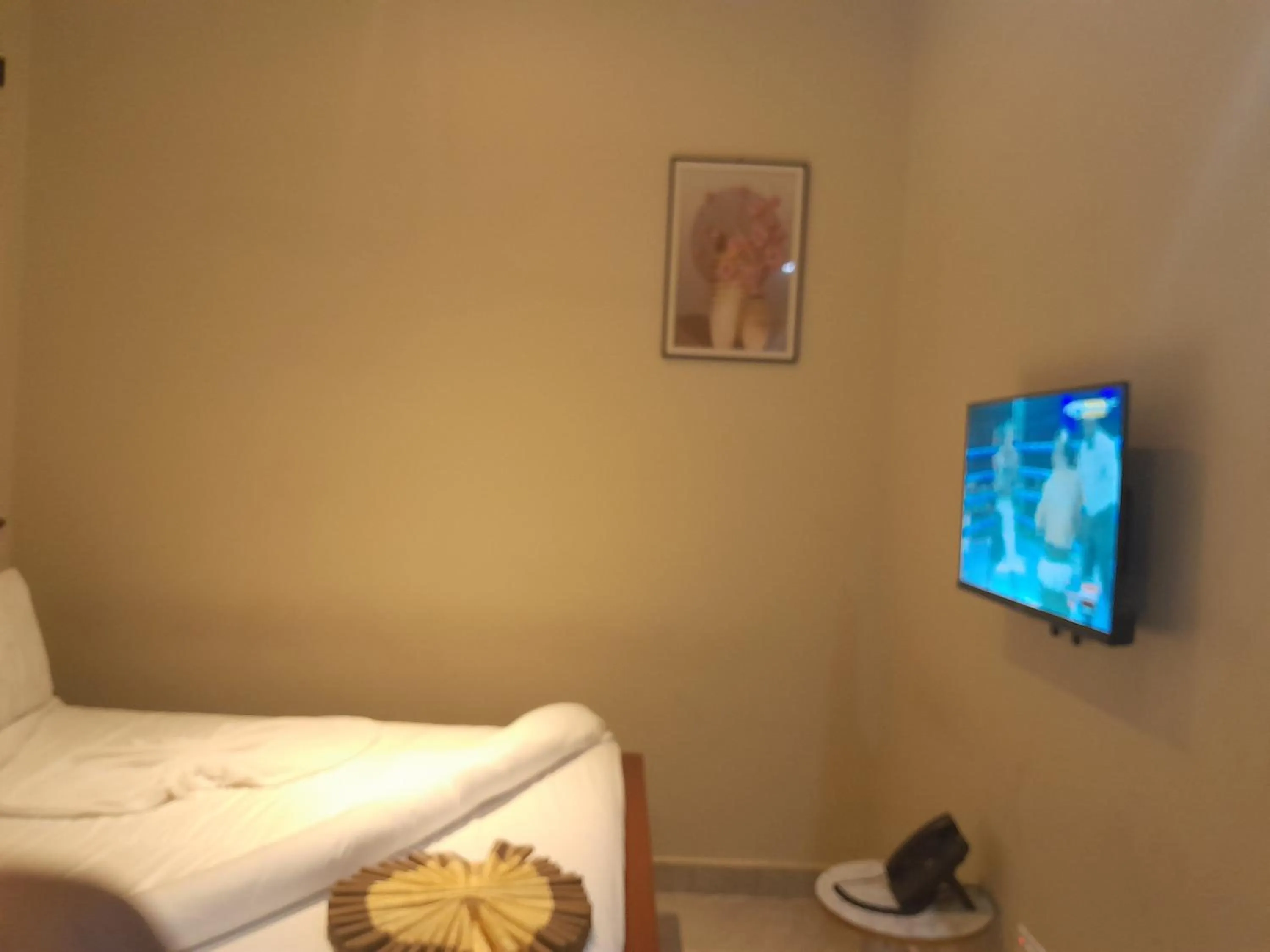 TV and multimedia in PALAZZO GARDEN RESORT MATEMA