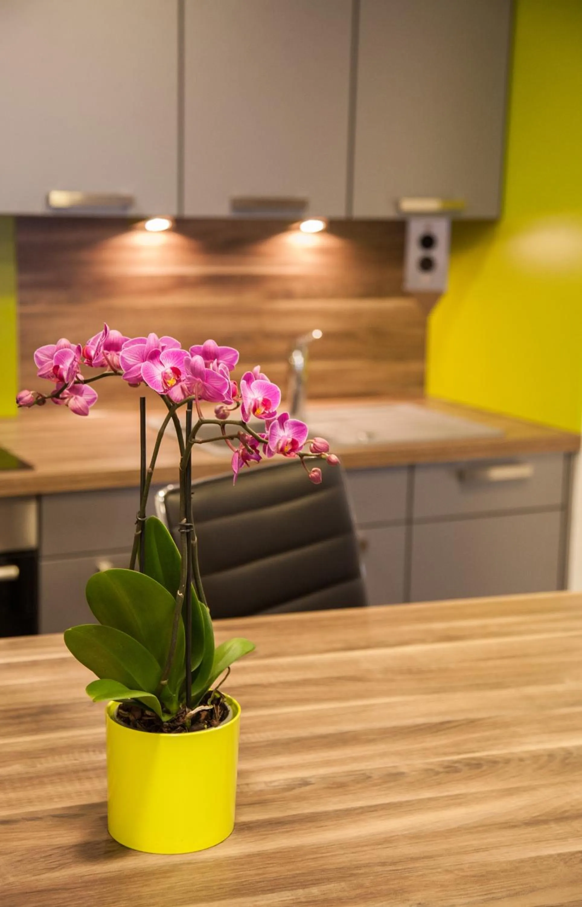 Decorative detail in Appartements Le Hupsa Pfannala