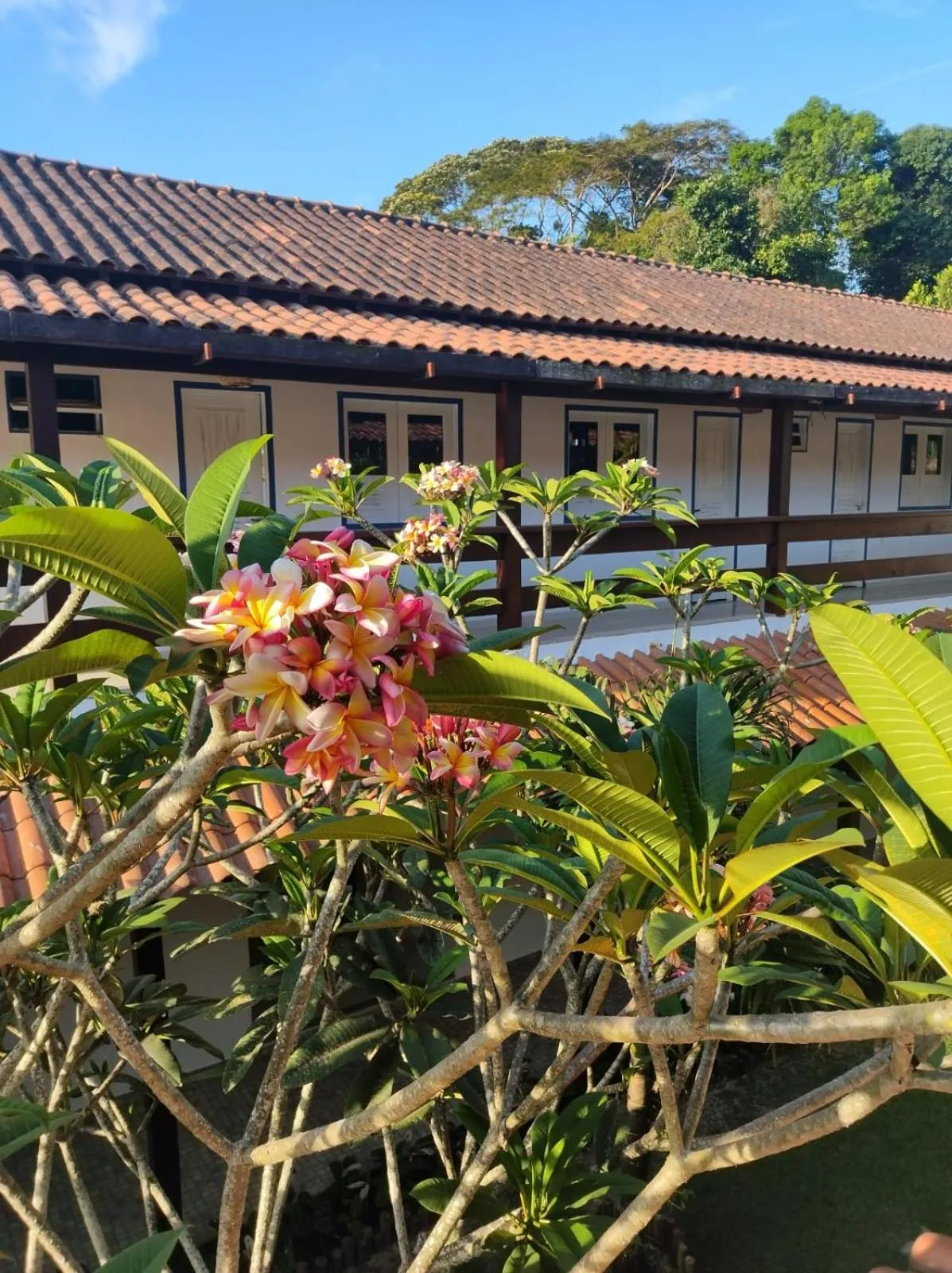 Garden in Villa Alexandre Pousada - Trancoso