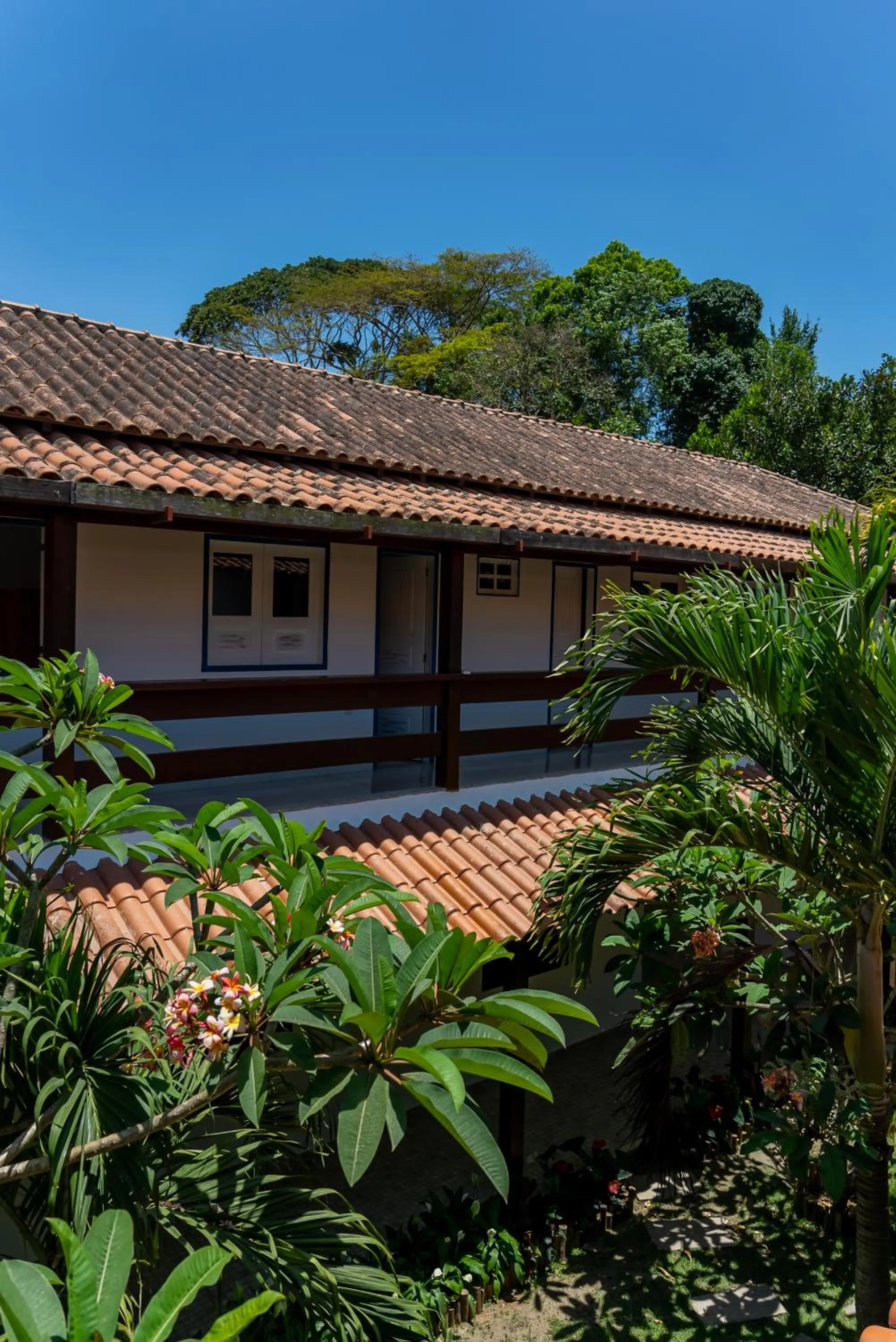 Garden in Villa Alexandre Pousada - Trancoso