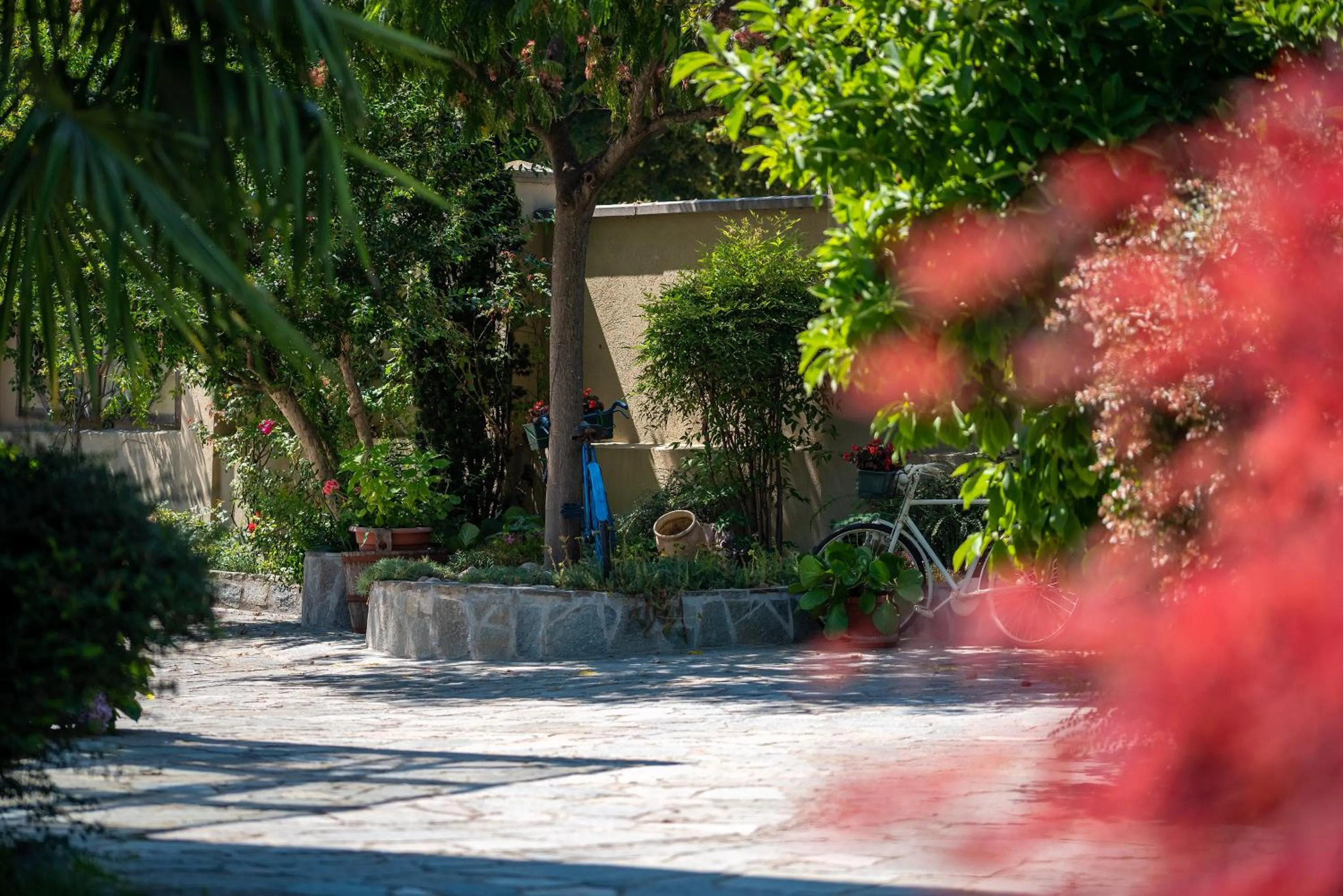 Garden in Villa Mery