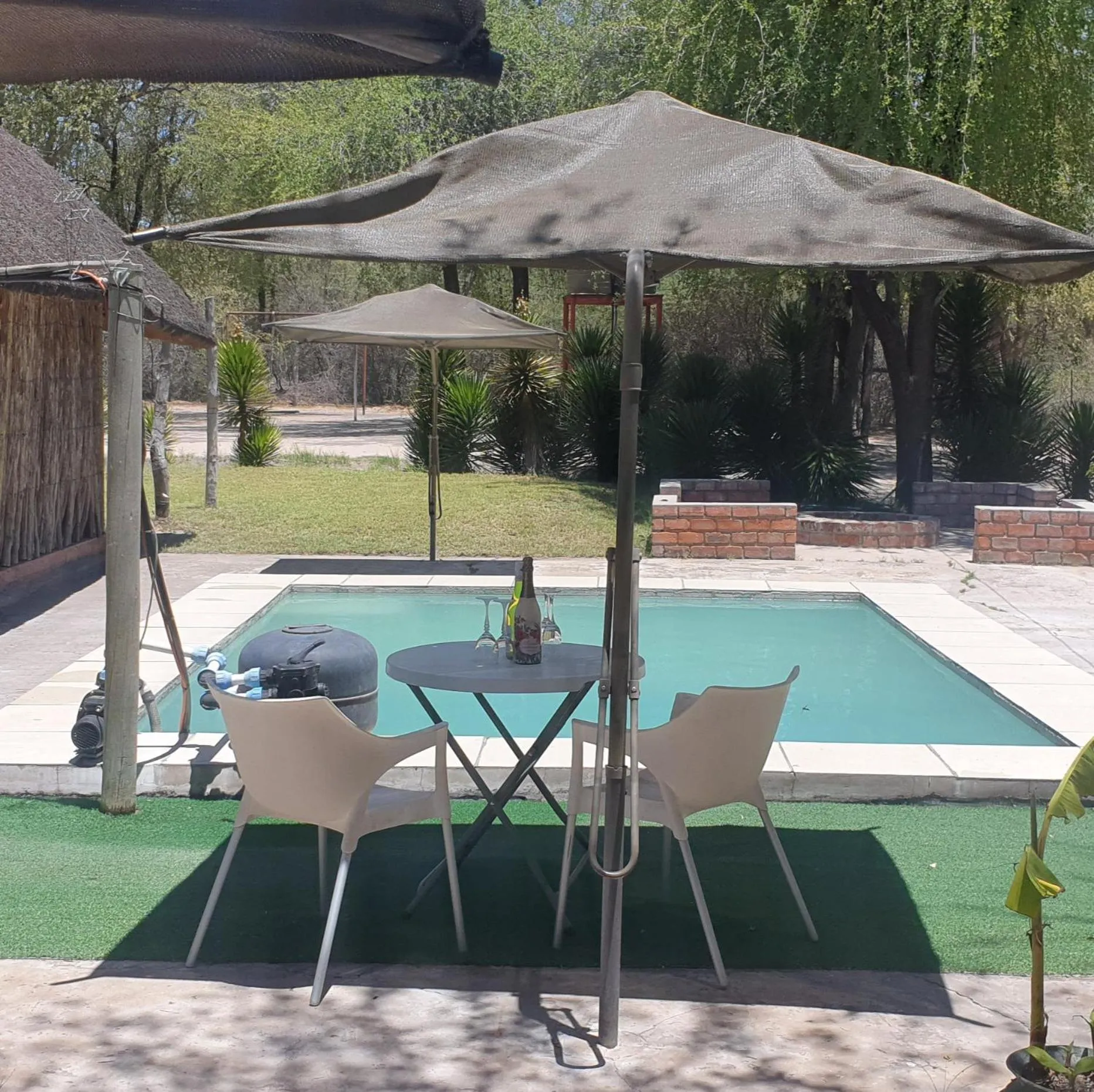 Pool view in Paradise Camp Game Lodge