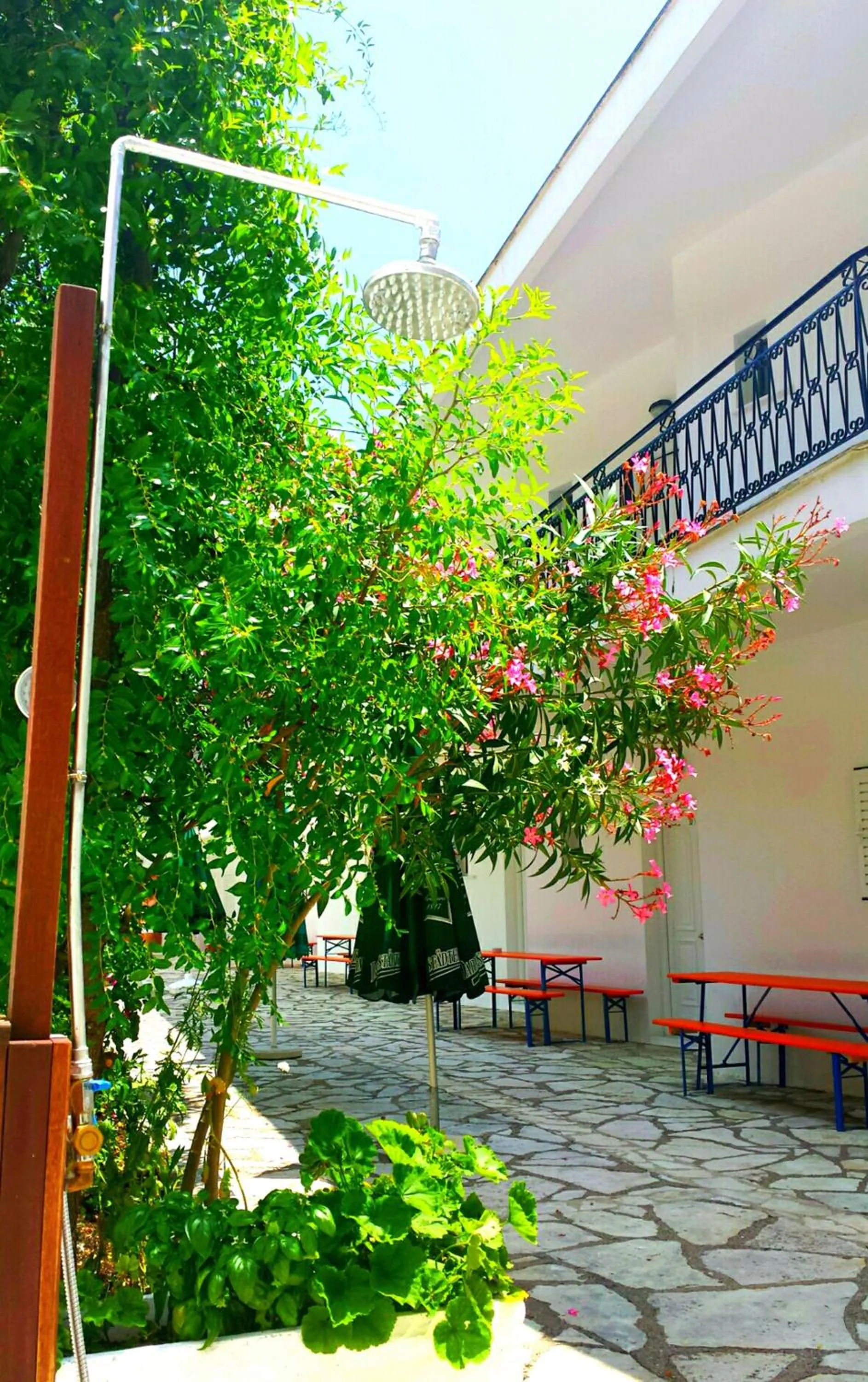 Patio in Spiros Studios