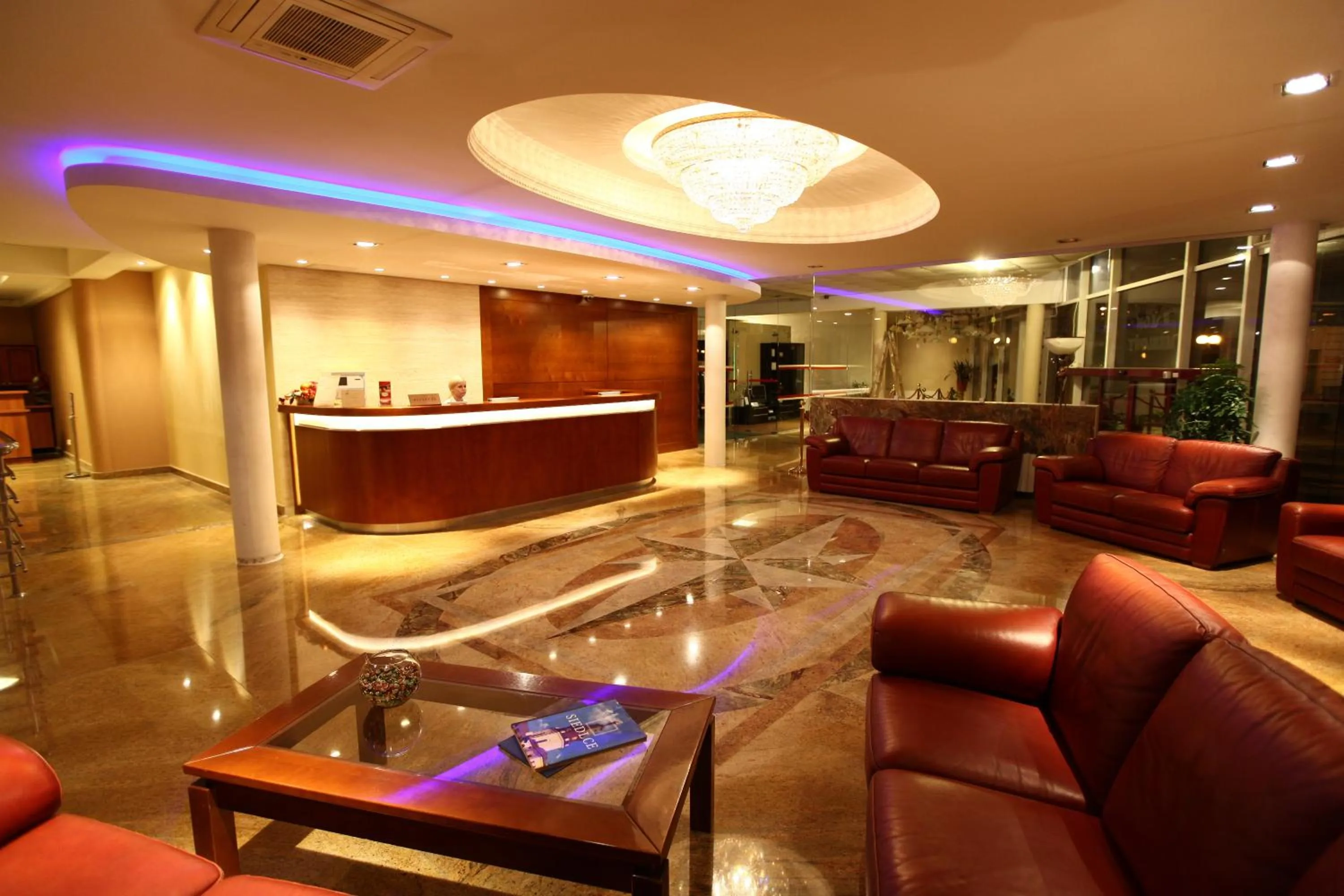 Lobby or reception in Hotel Janusz