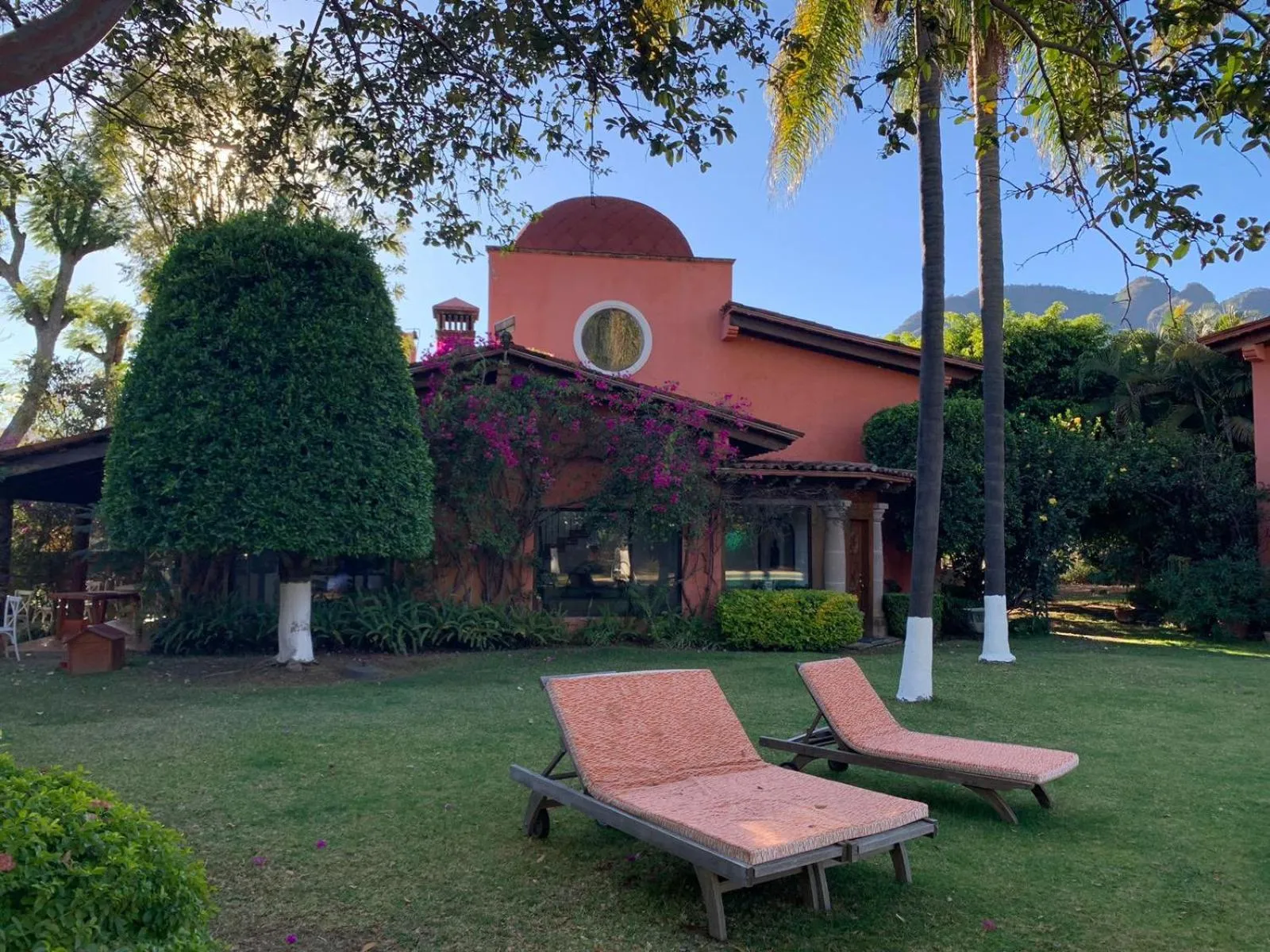 Garden in Casa Shambhala Malinalco