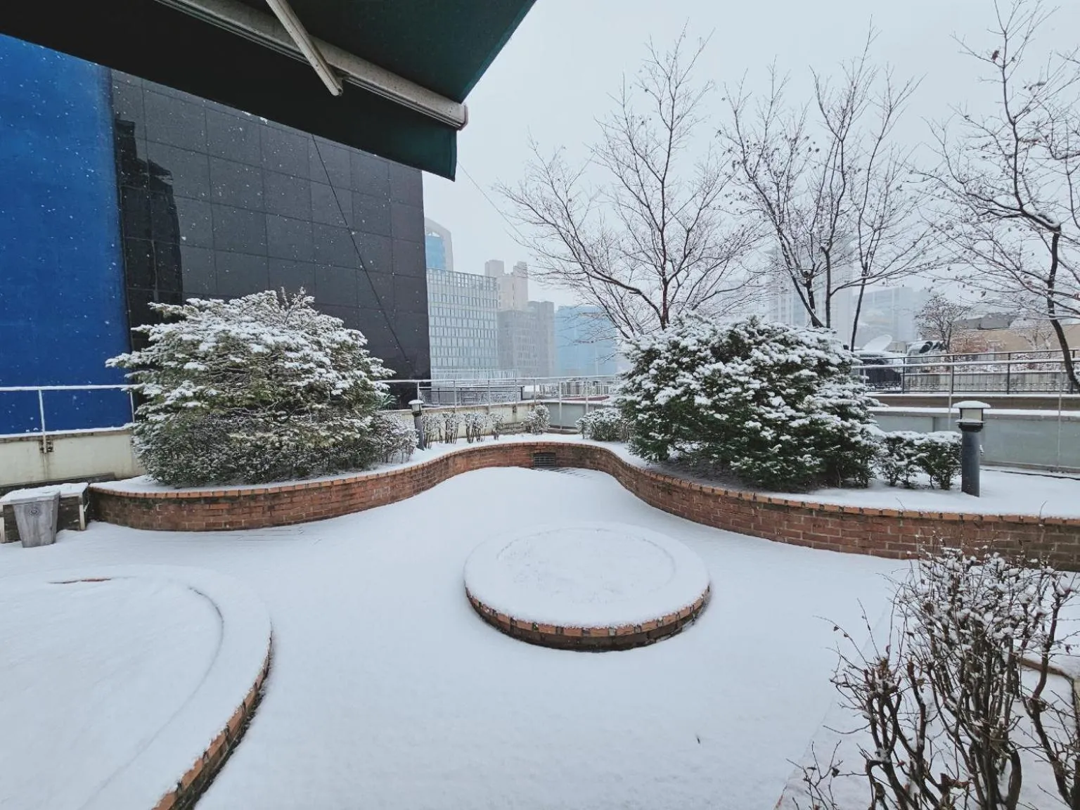 Garden in Ekonomy Hotel Myeongdong Premier
