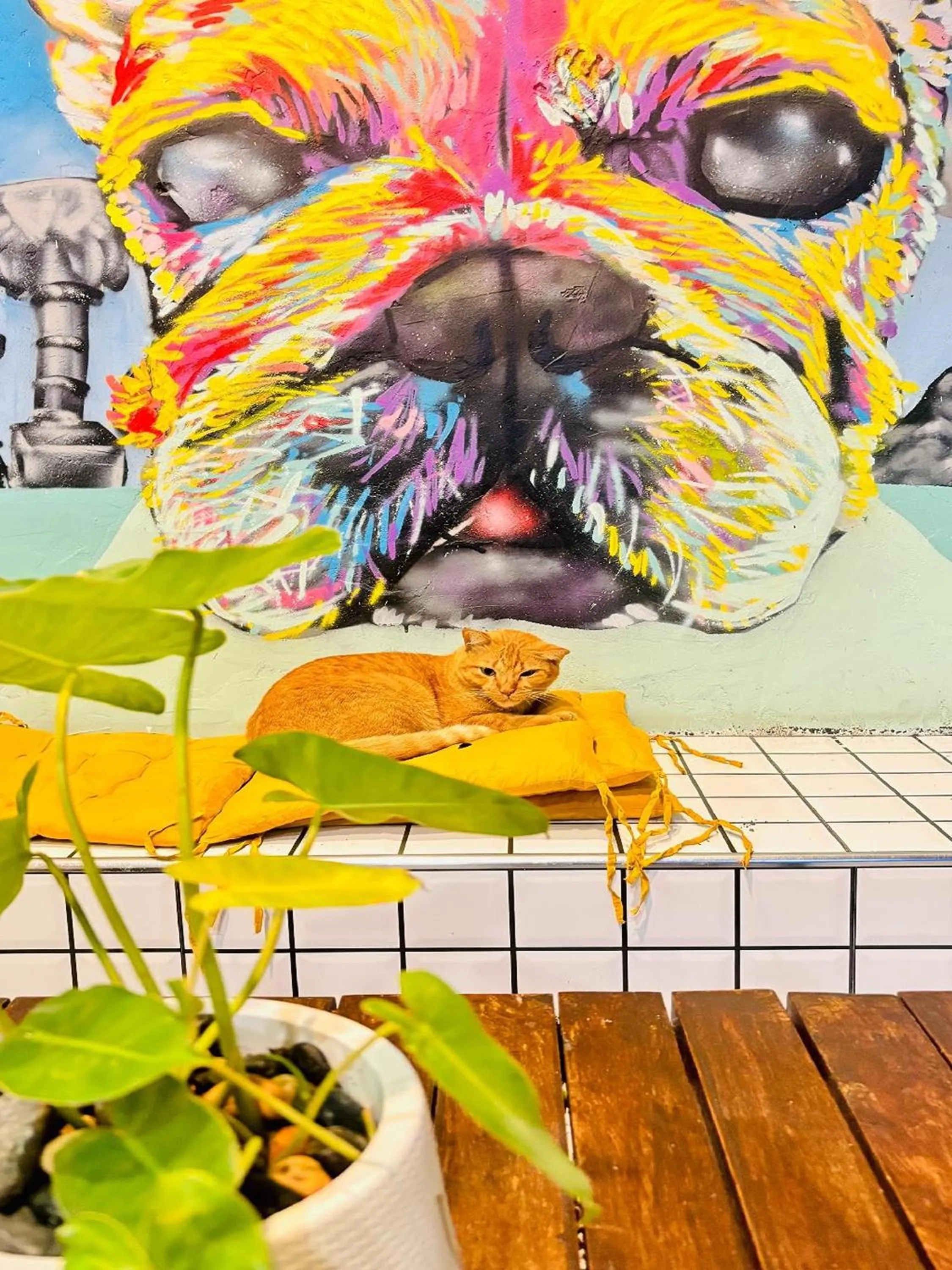 Property building in The Yak Cozy Chiang Mai