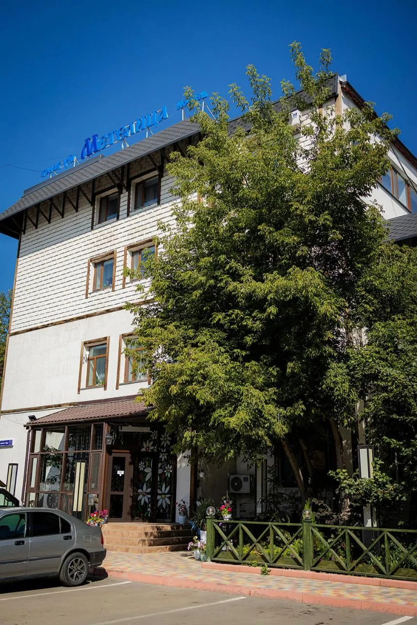 Metelitsa Hotel