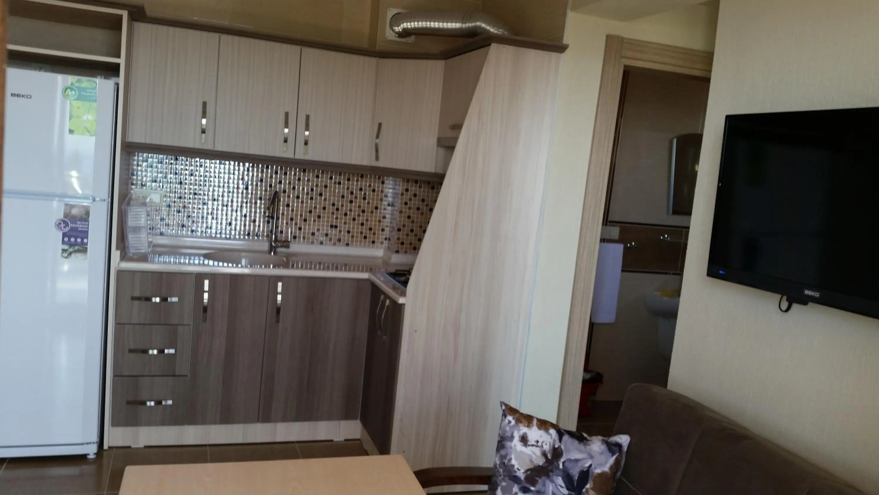 Kitchen or kitchenette in Lebedos Apart Hotel 1