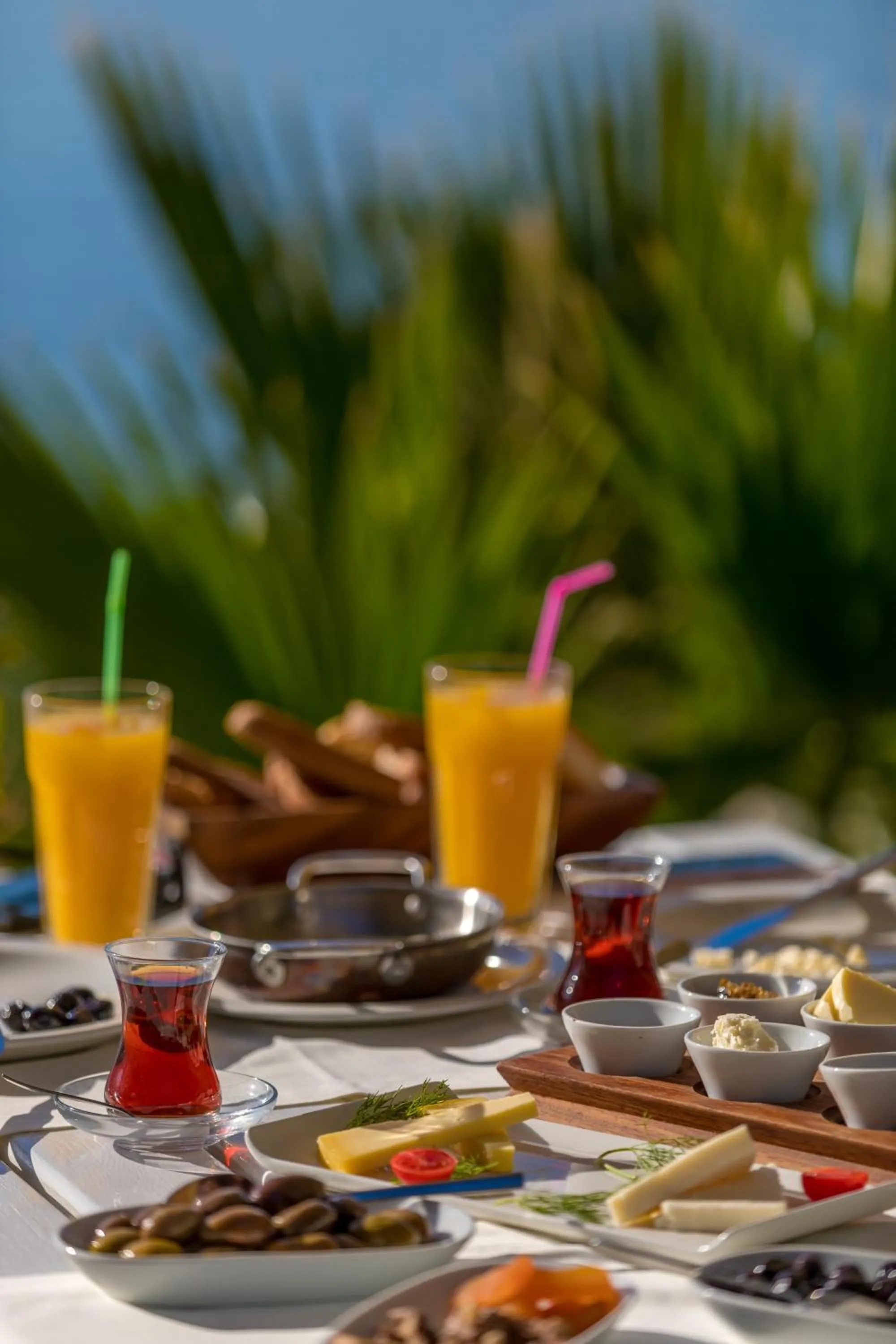 Continental breakfast in Joya Del Mar Hotel