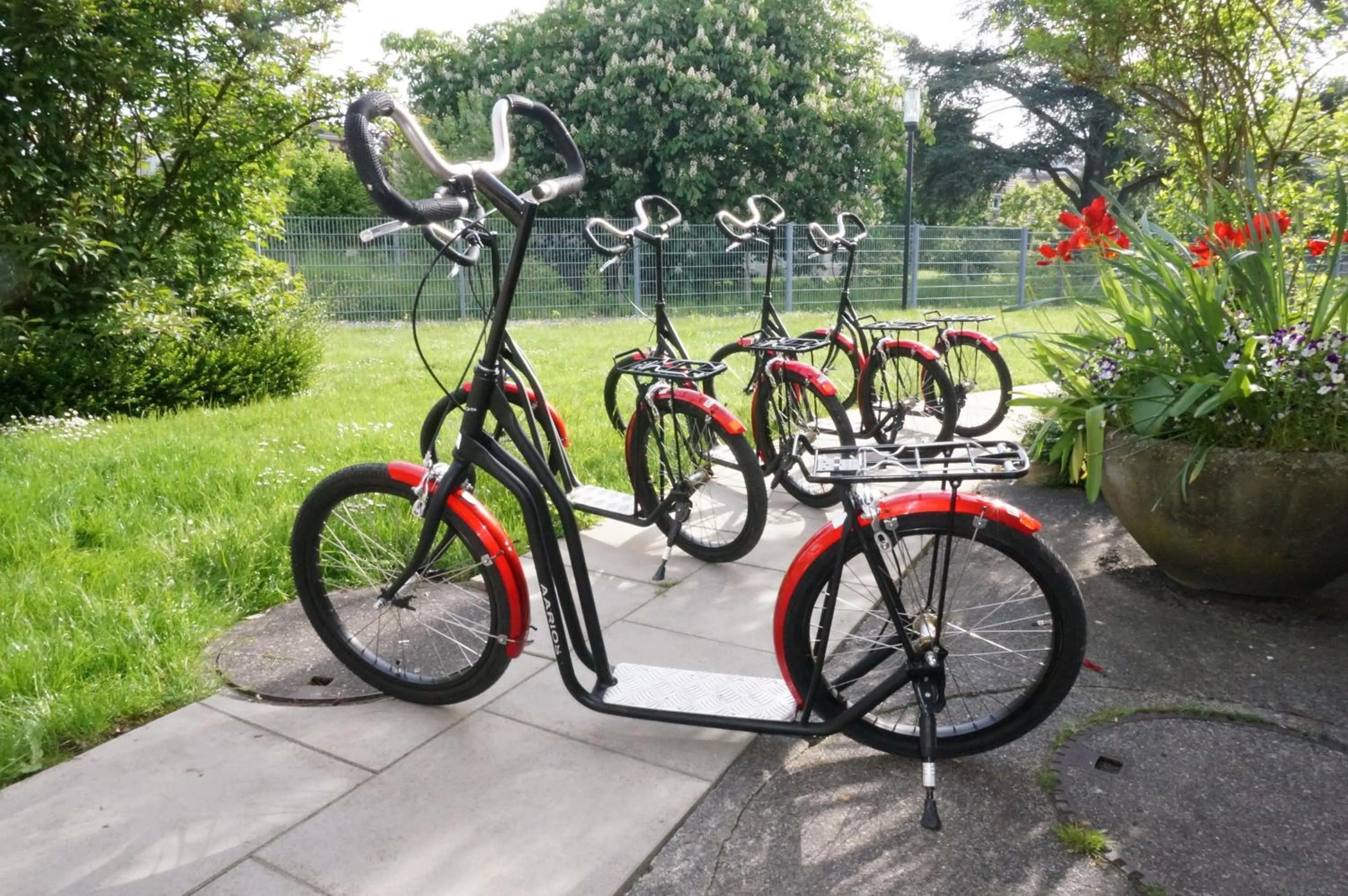 Sports in Jugendherberge Romanshorn