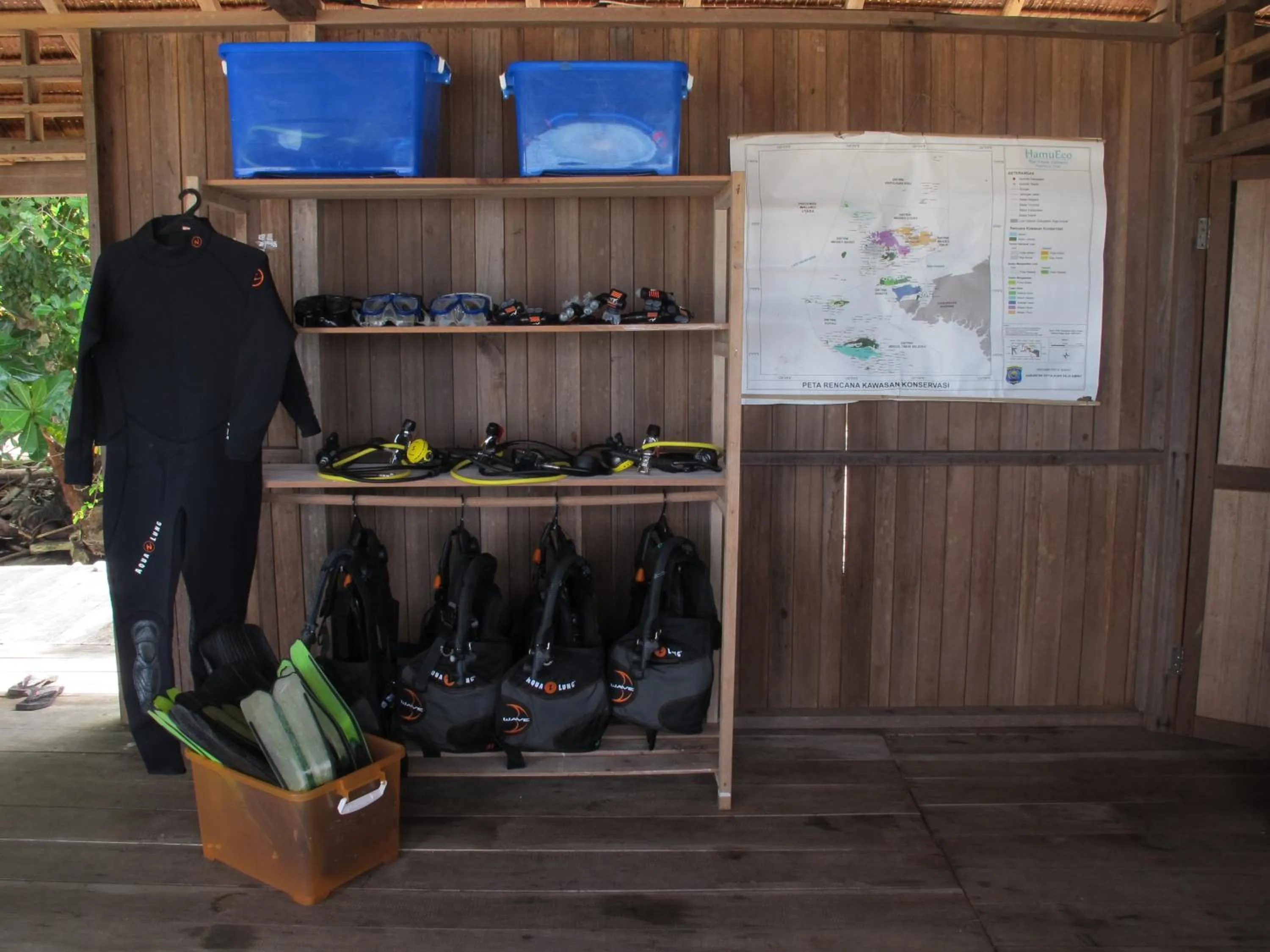 Snorkeling in Hamueco Dive Resort Raja Ampat