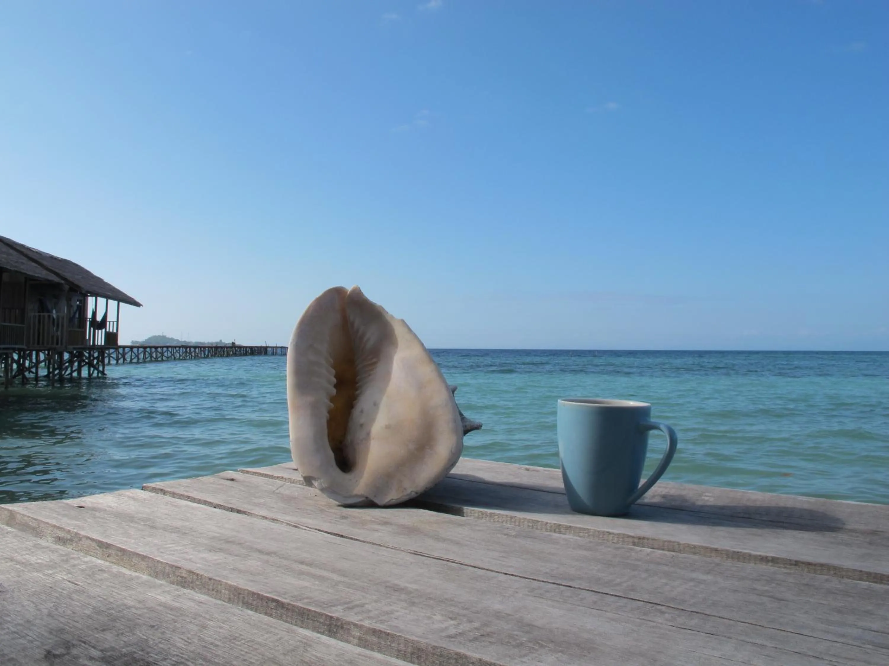 Hamueco Dive Resort Raja Ampat