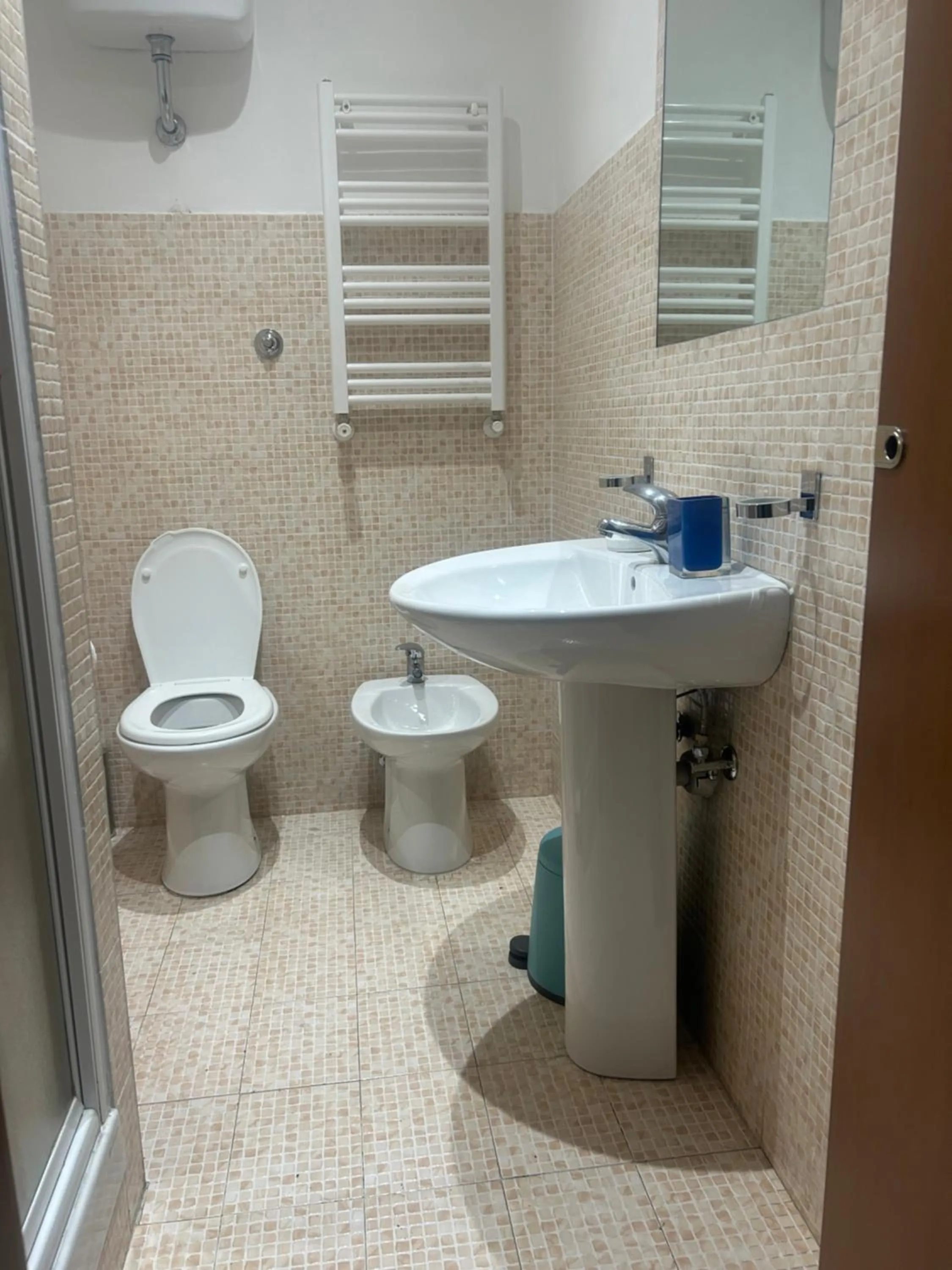 Toilet in Vanella Rome Domus