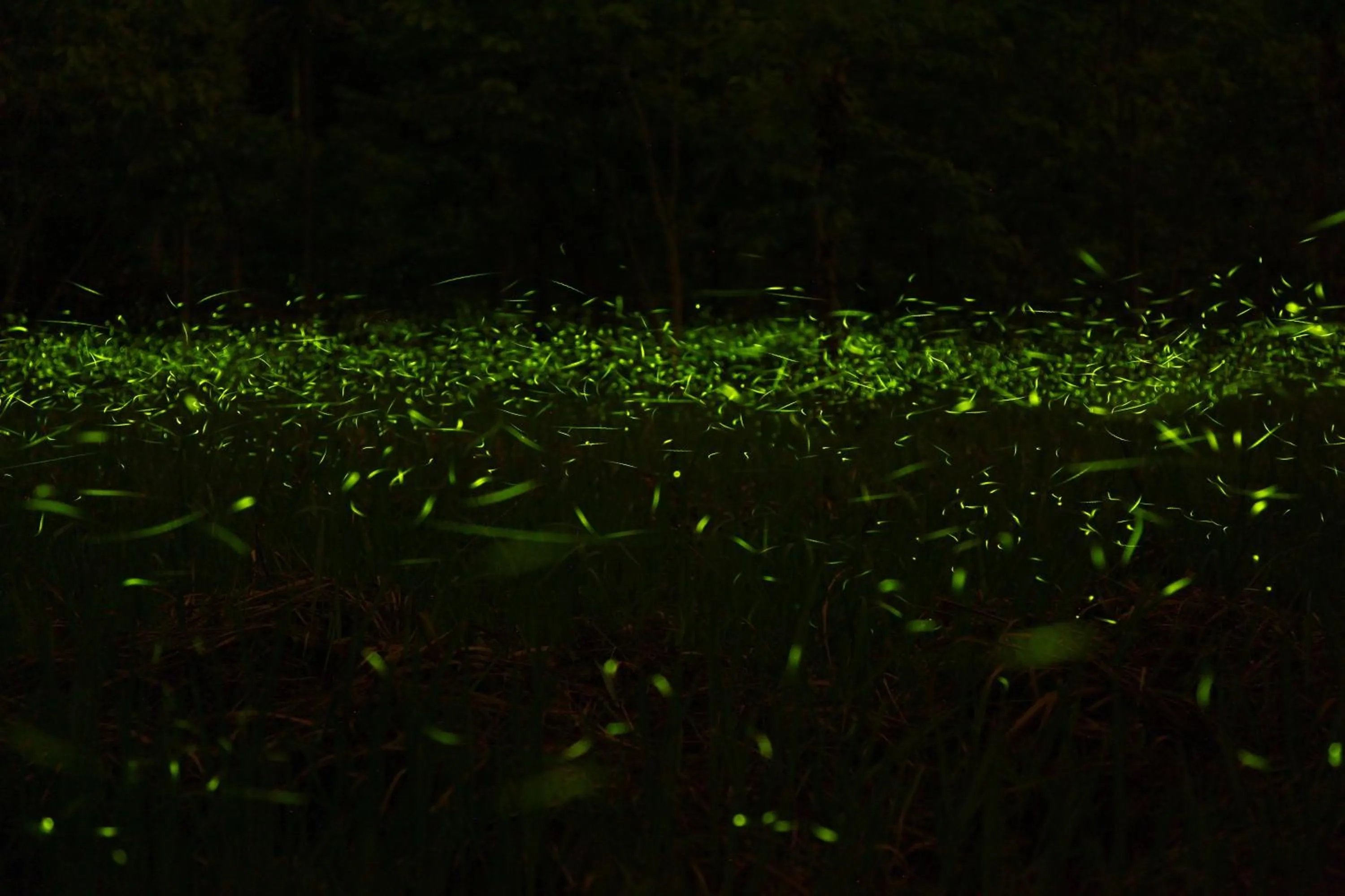 Off site in Yeashow Villa