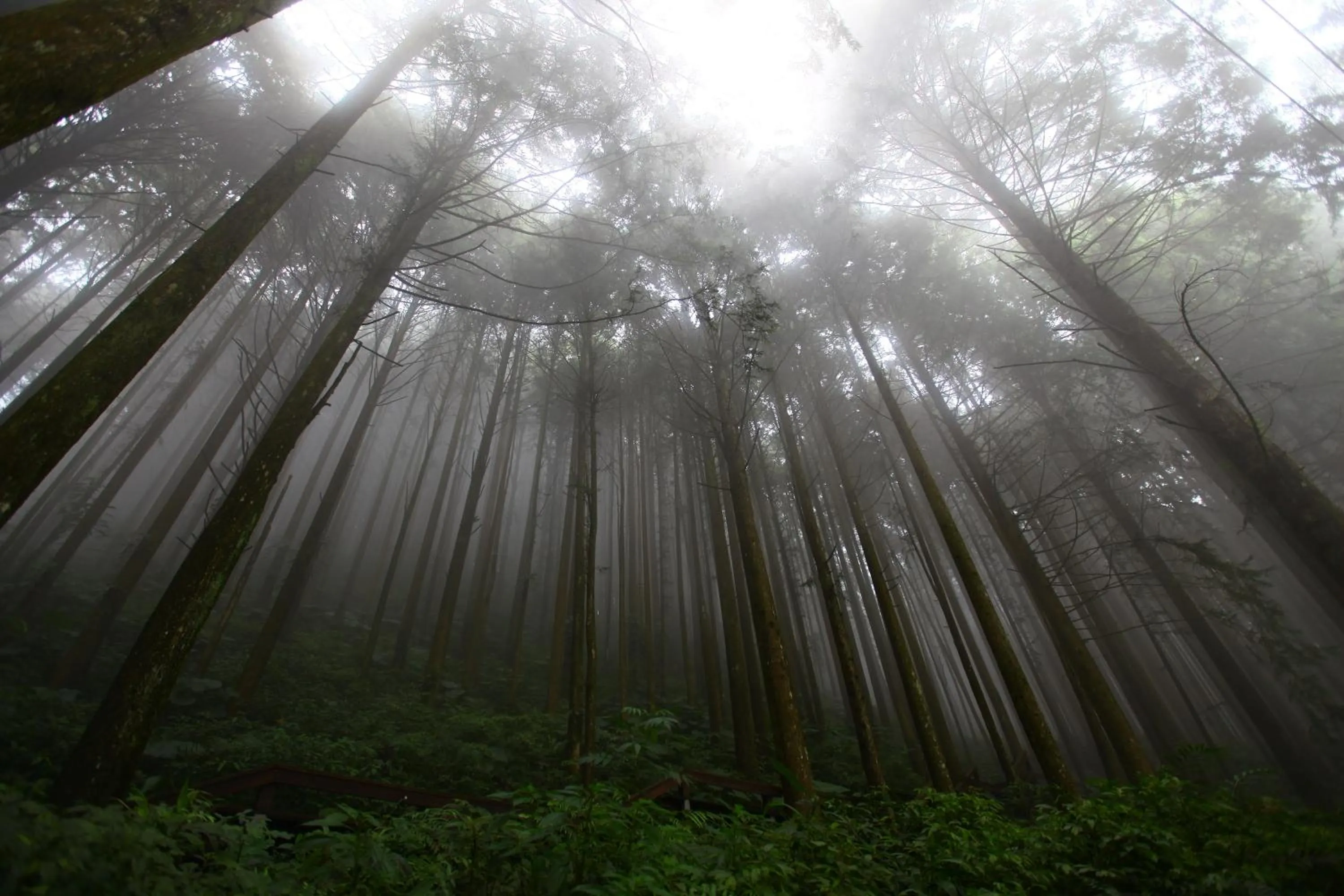 Off site in Yeashow Villa