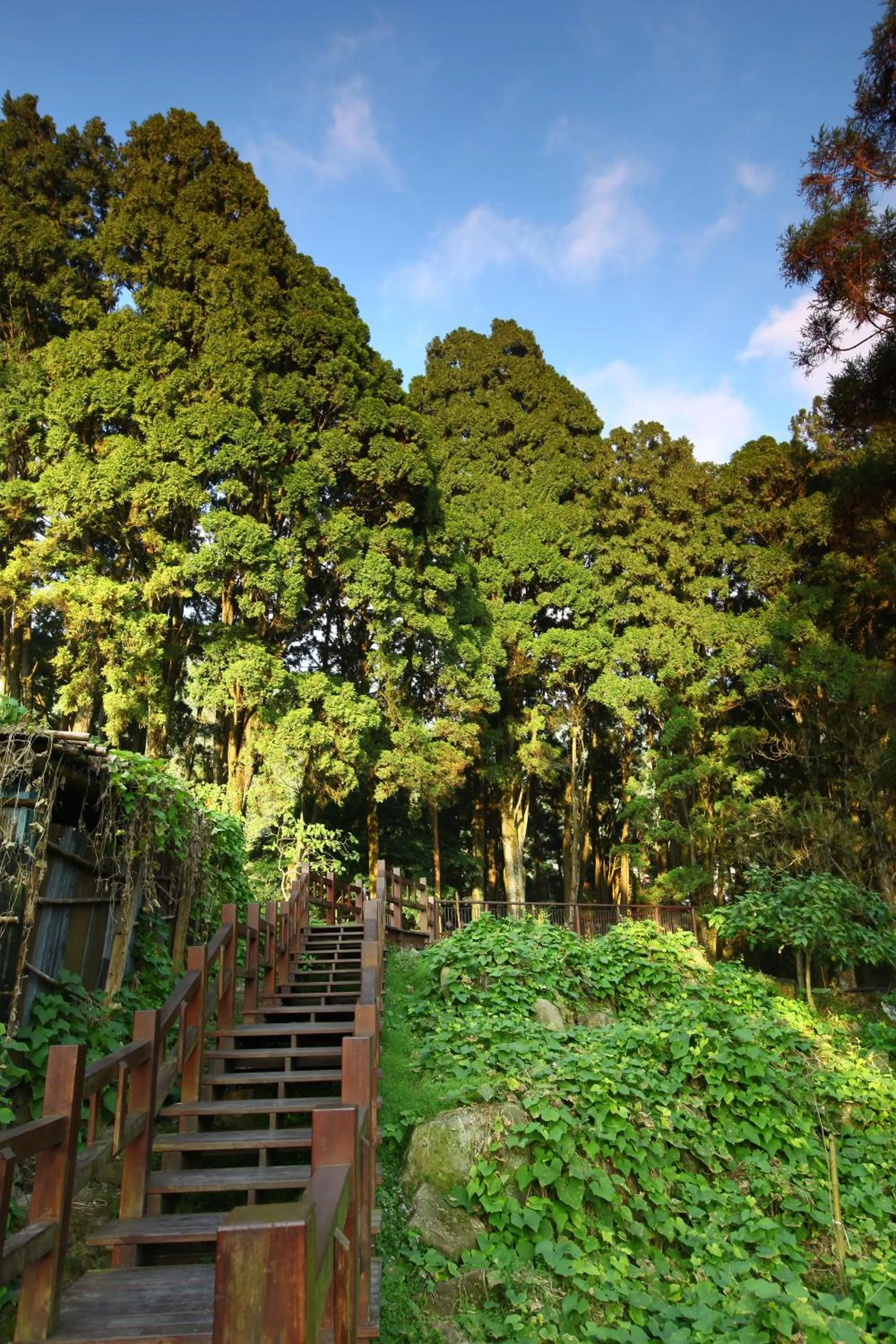 Off site in Yeashow Villa