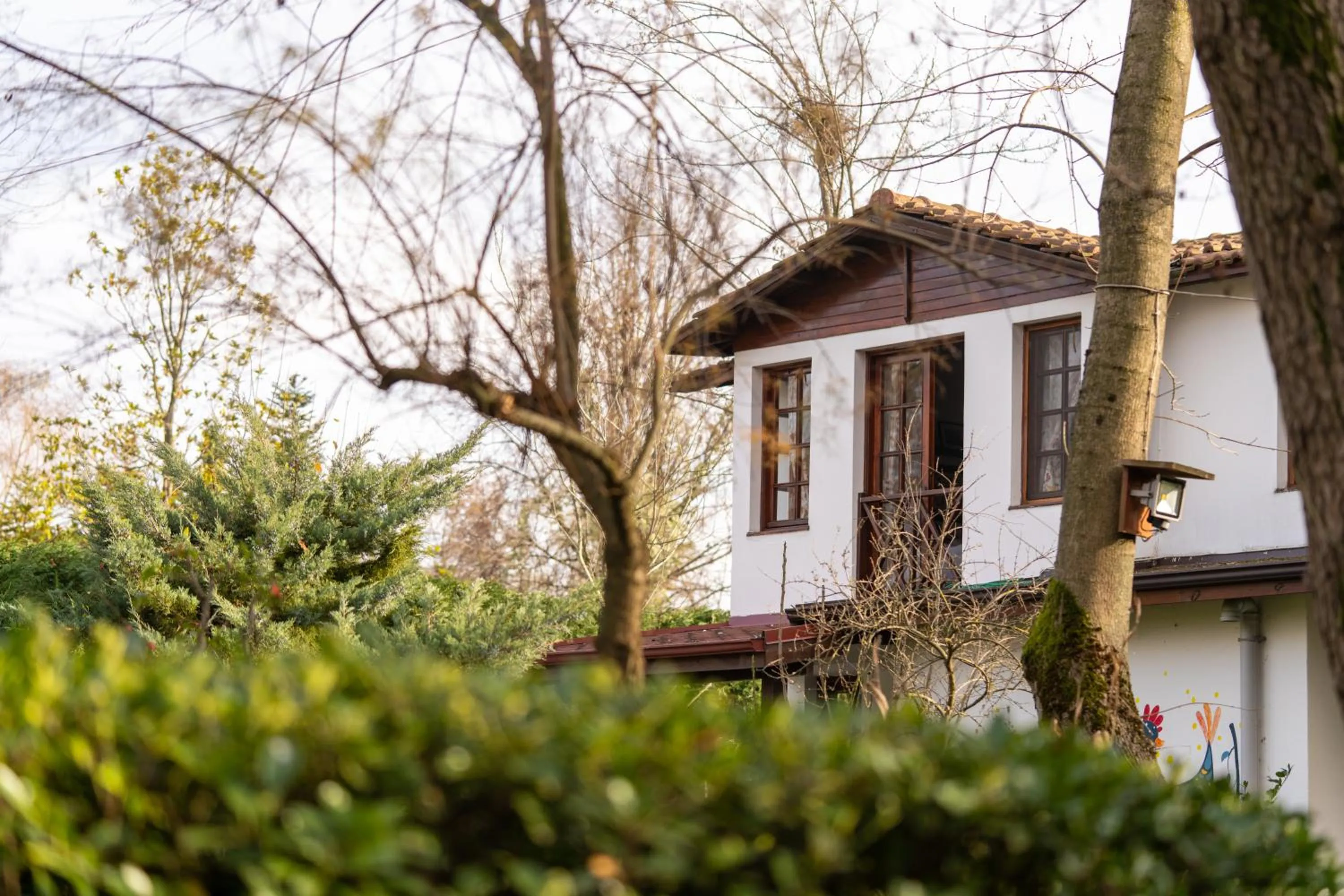 Property building in Beta Home Sapanca