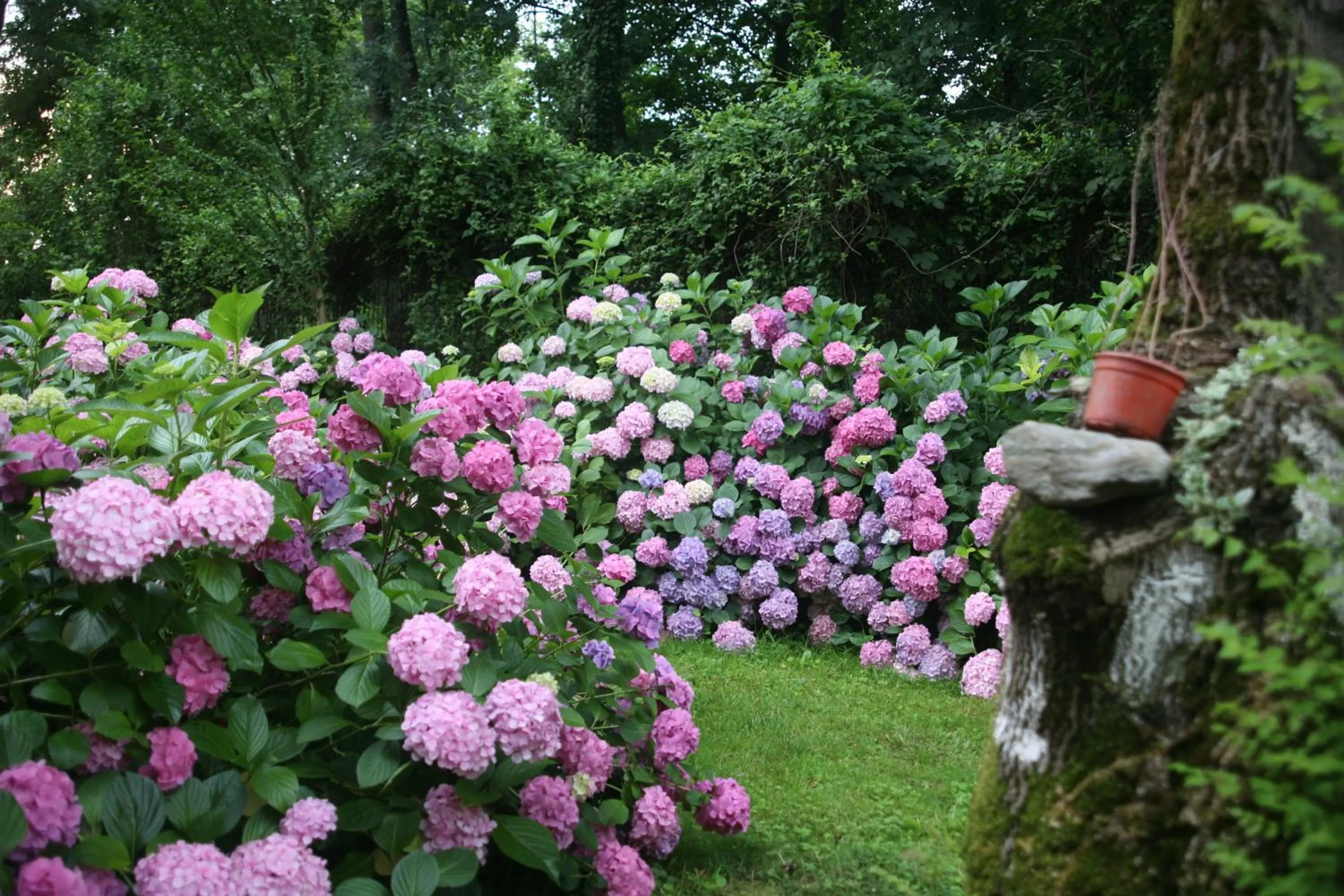 Garden in Beta Home Sapanca