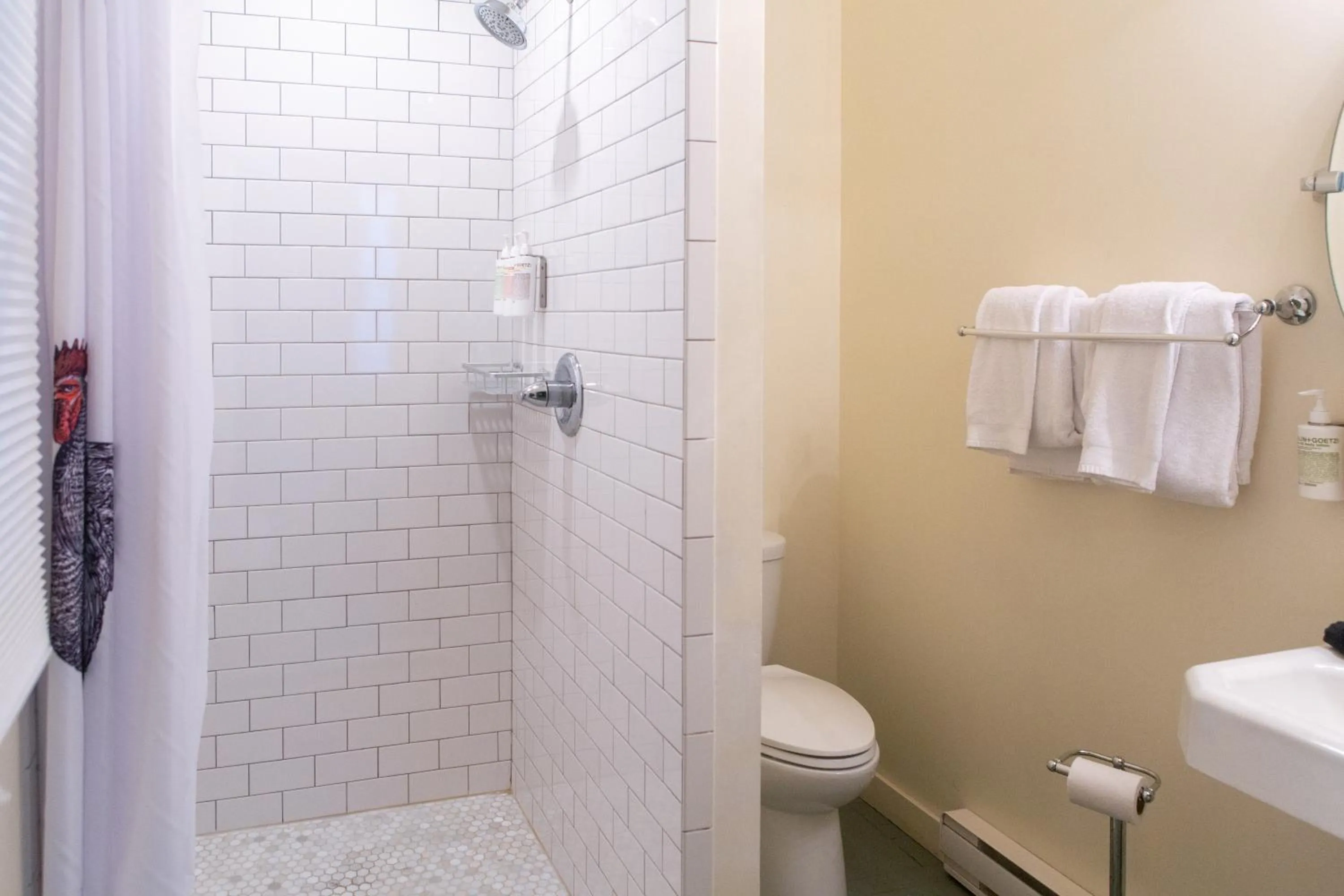 Shower in The North Branch Inn