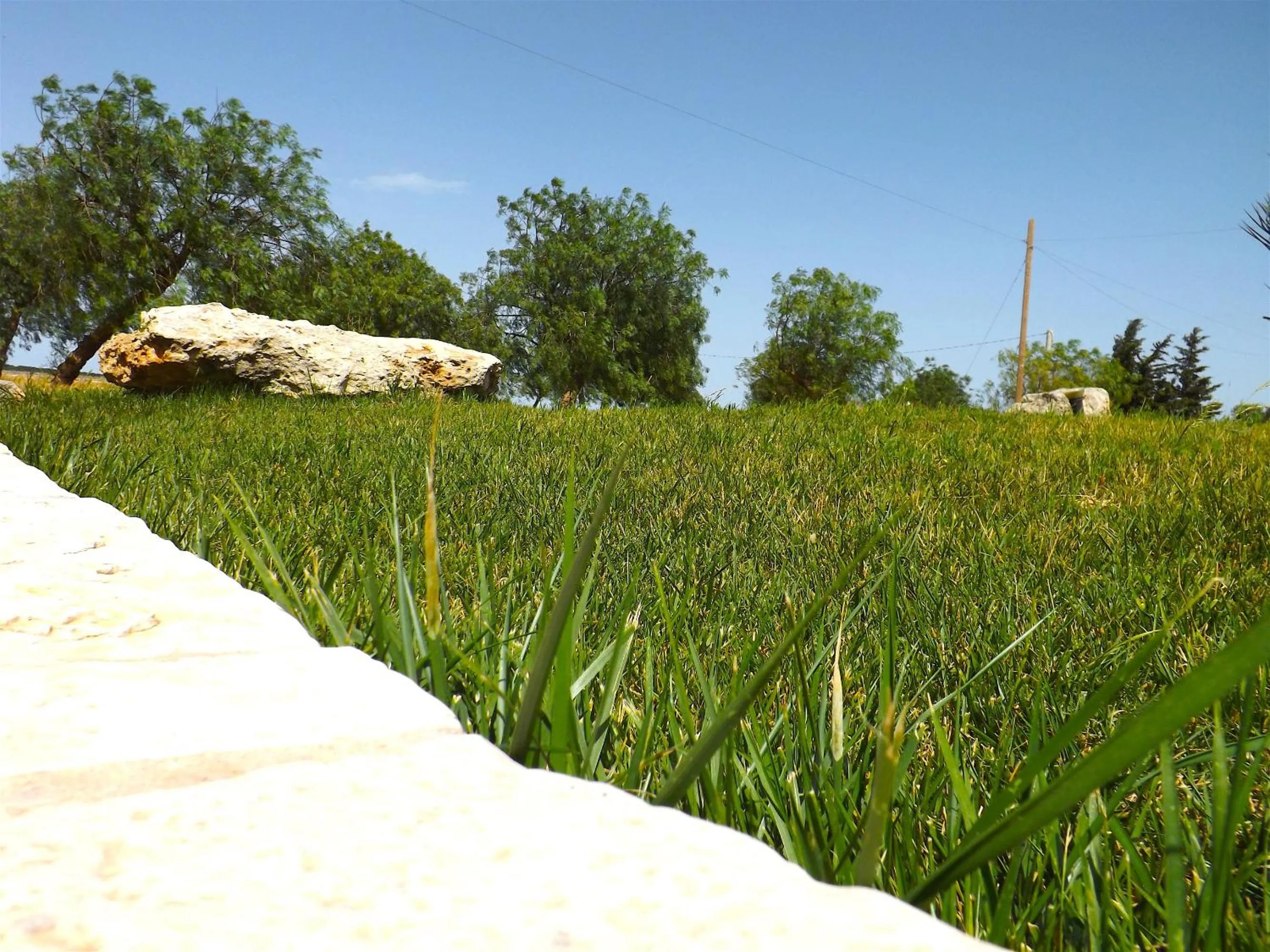 Garden in Il mondo dei sogni