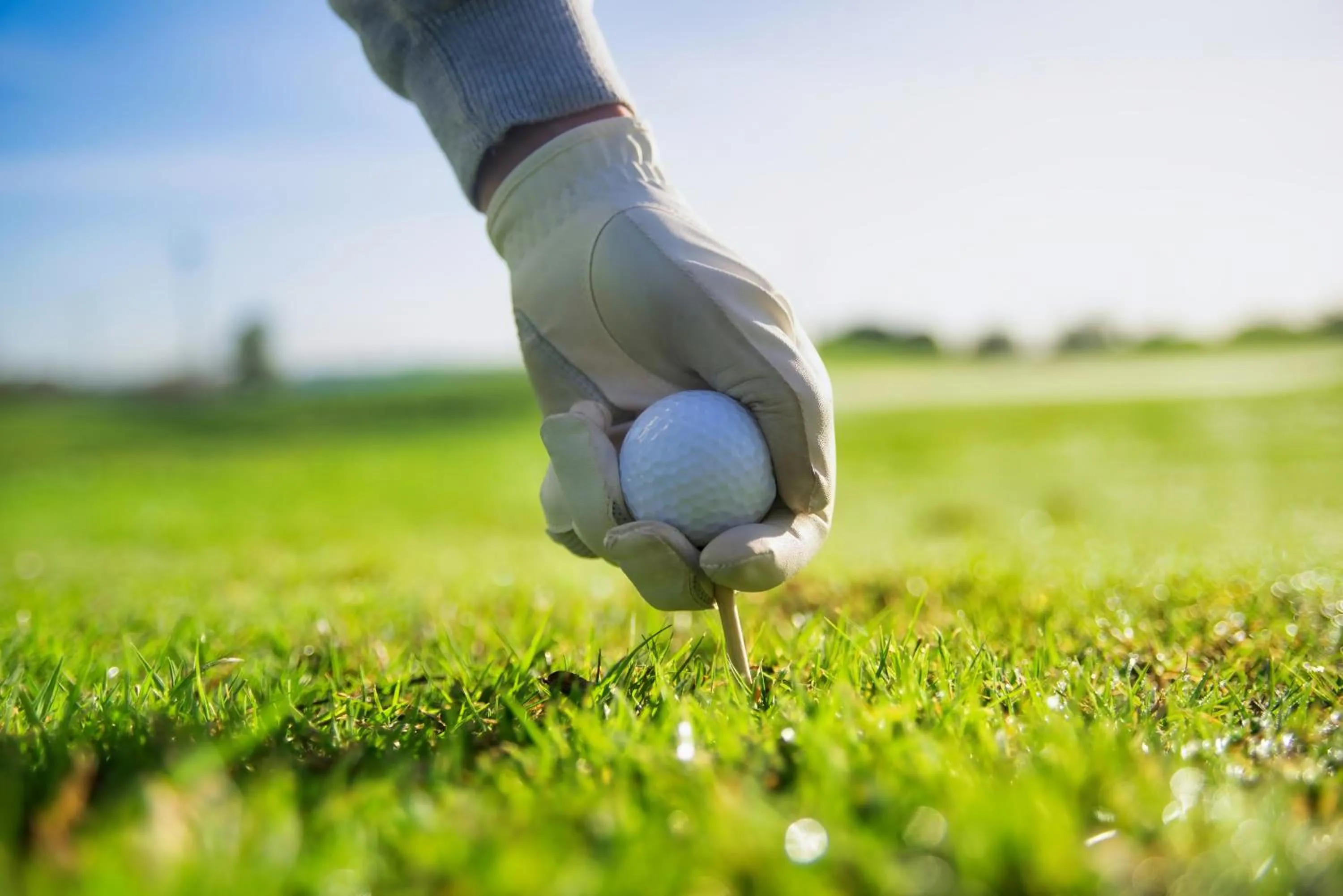 Golfcourse in Terrace Suites