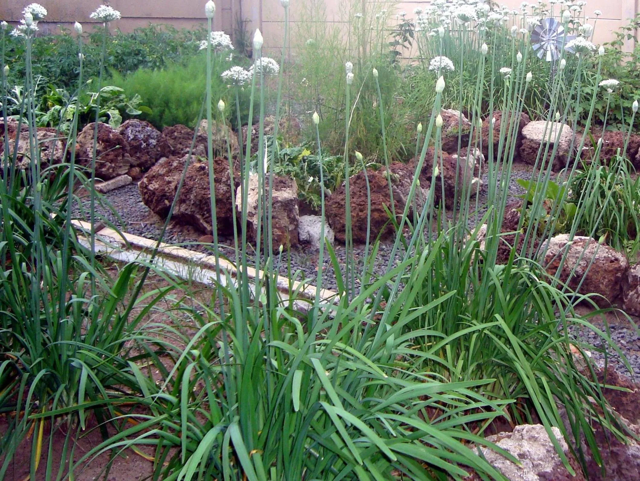 Day in 44 on Ennis Guest Lodge and Restaurant -