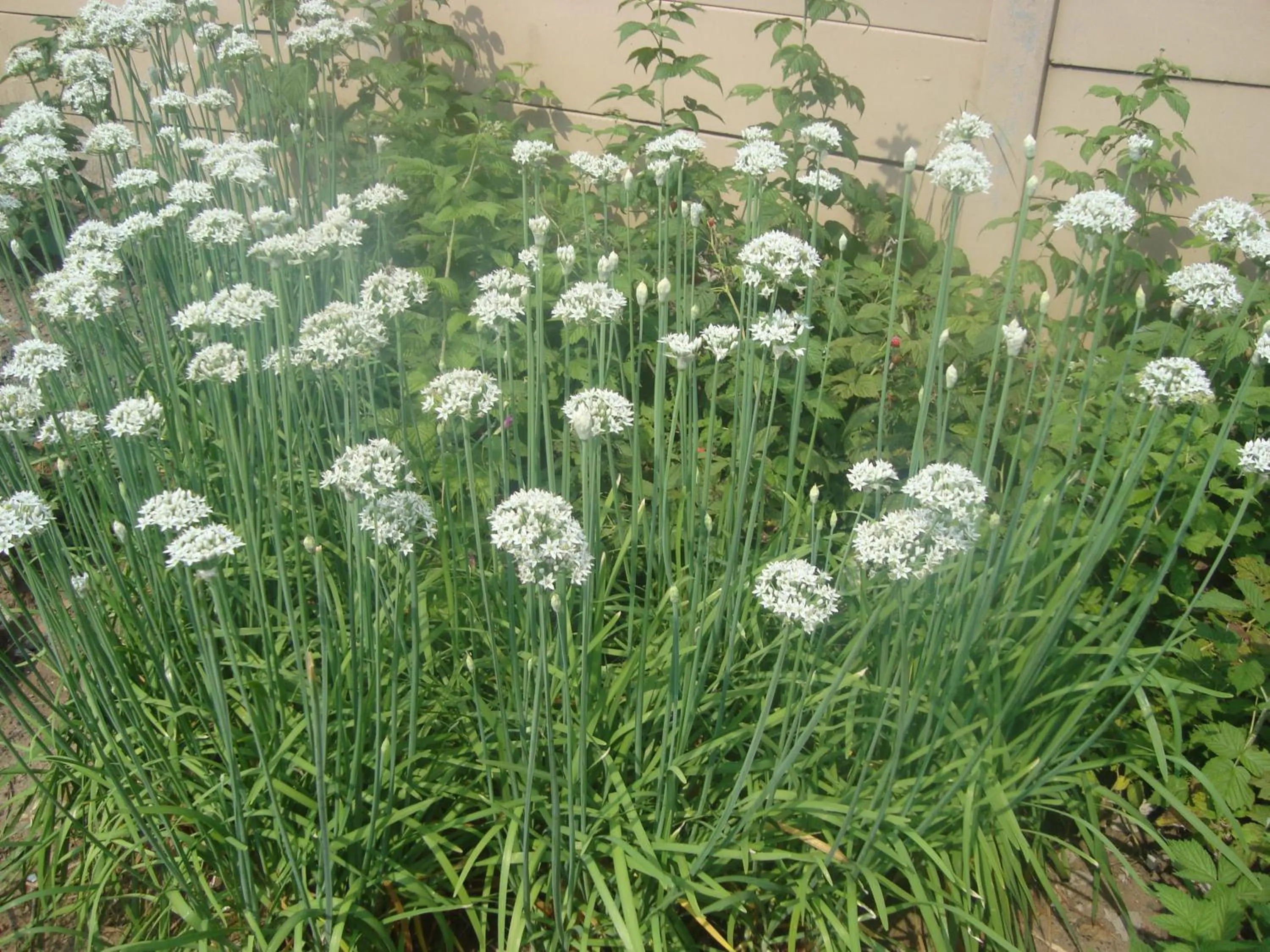 Day in 44 on Ennis Guest Lodge and Restaurant -