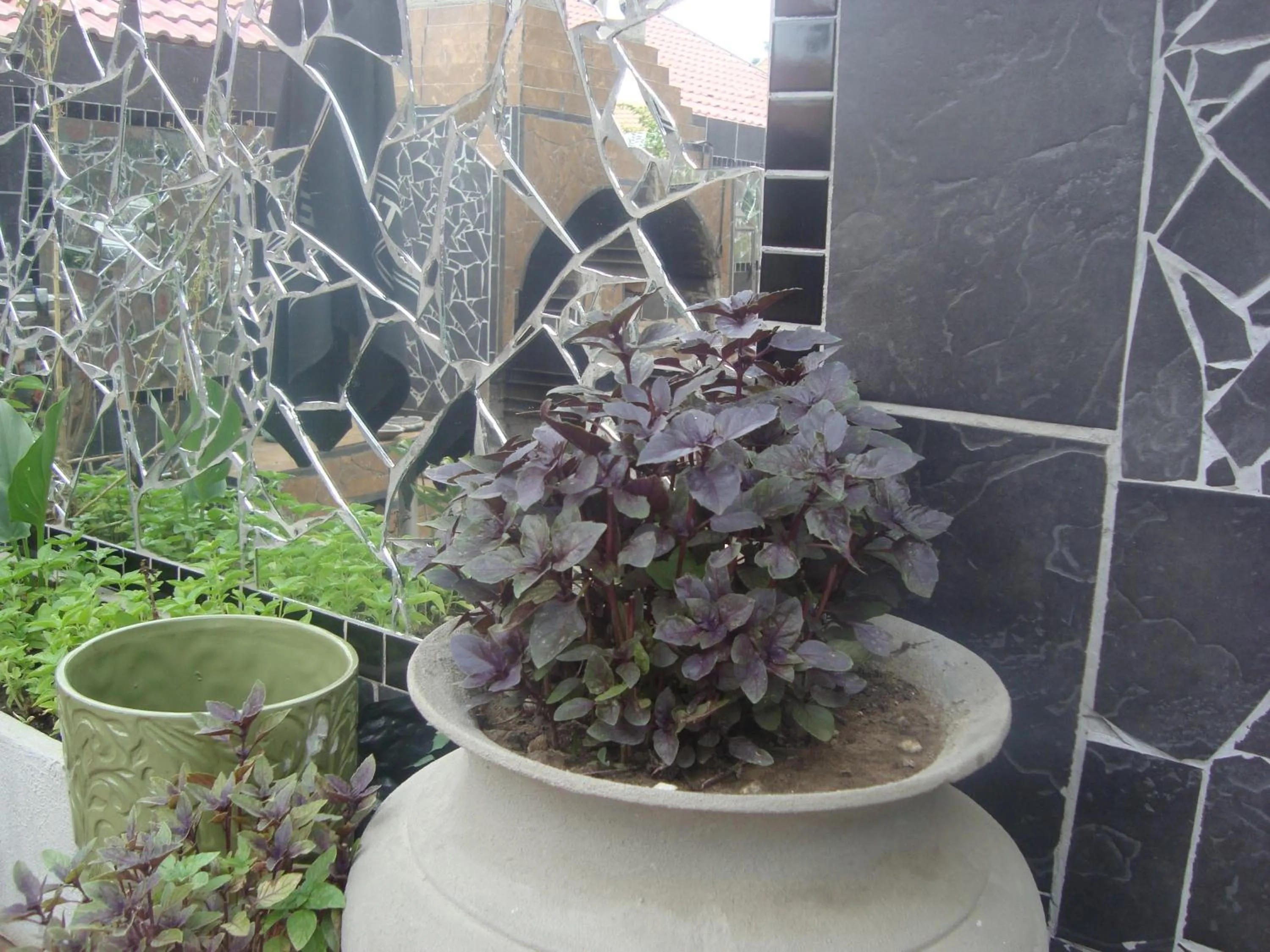 Restaurant/places to eat in 44 on Ennis Guest Lodge and Restaurant -