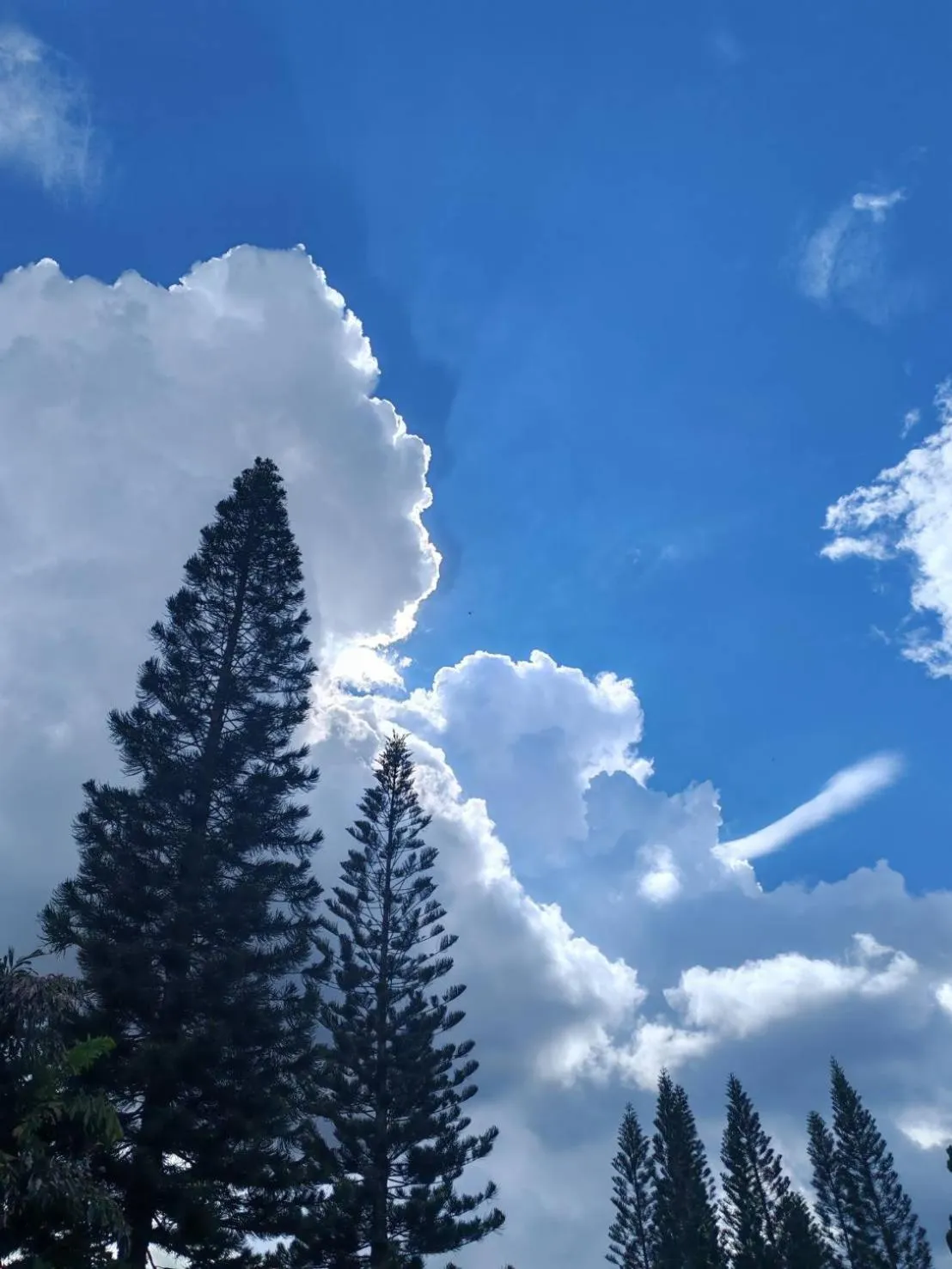 Phuphamok Valley Resort