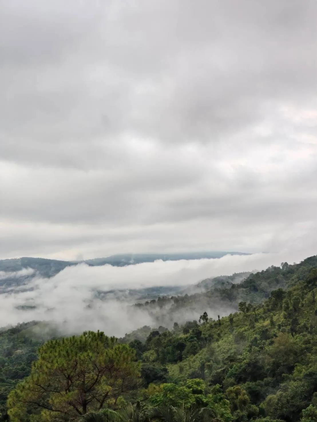 Phuphamok Valley Resort