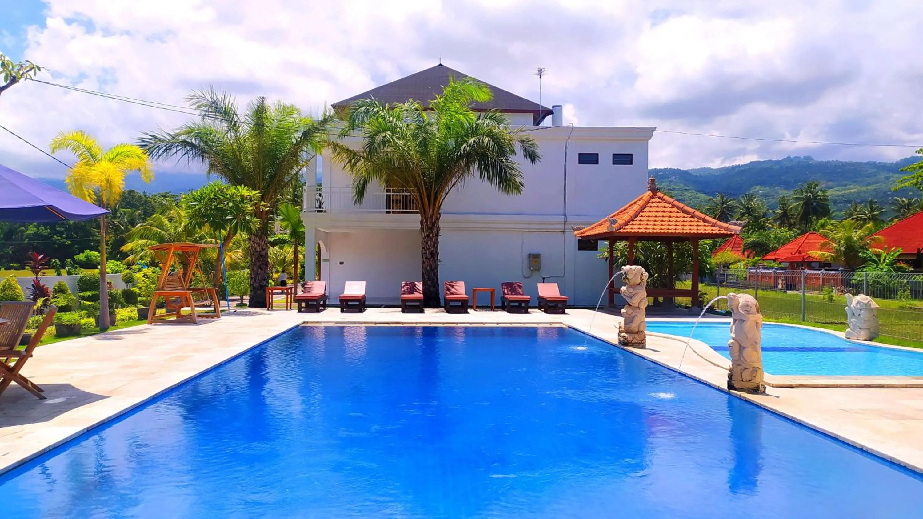 Swimming pool in Puri Lovina
