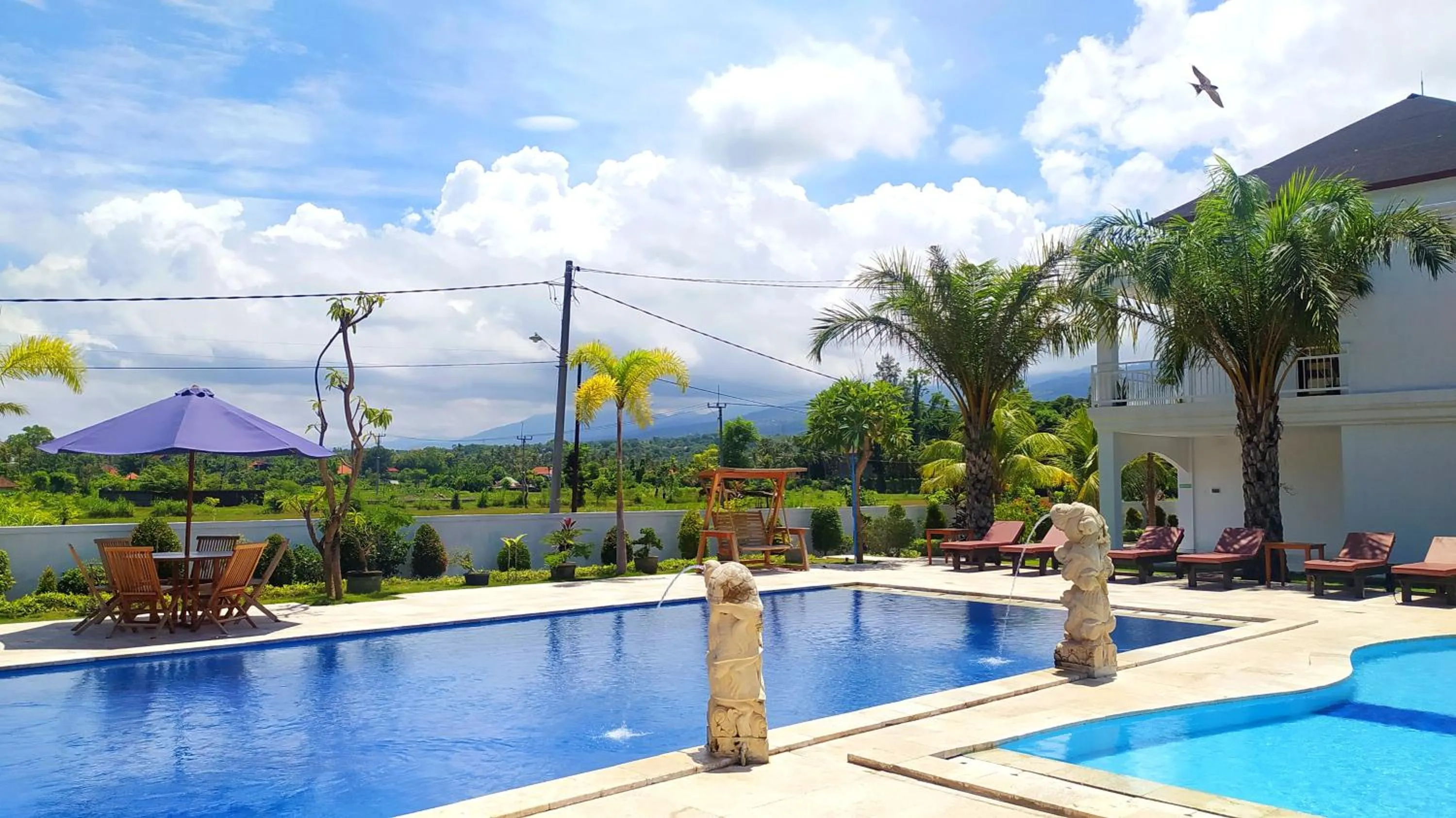Swimming pool in Puri Lovina