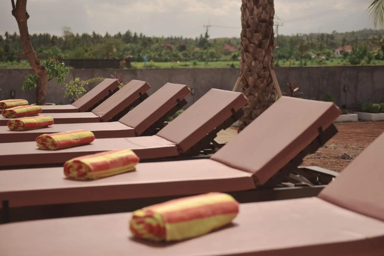 Pool view in Puri Lovina