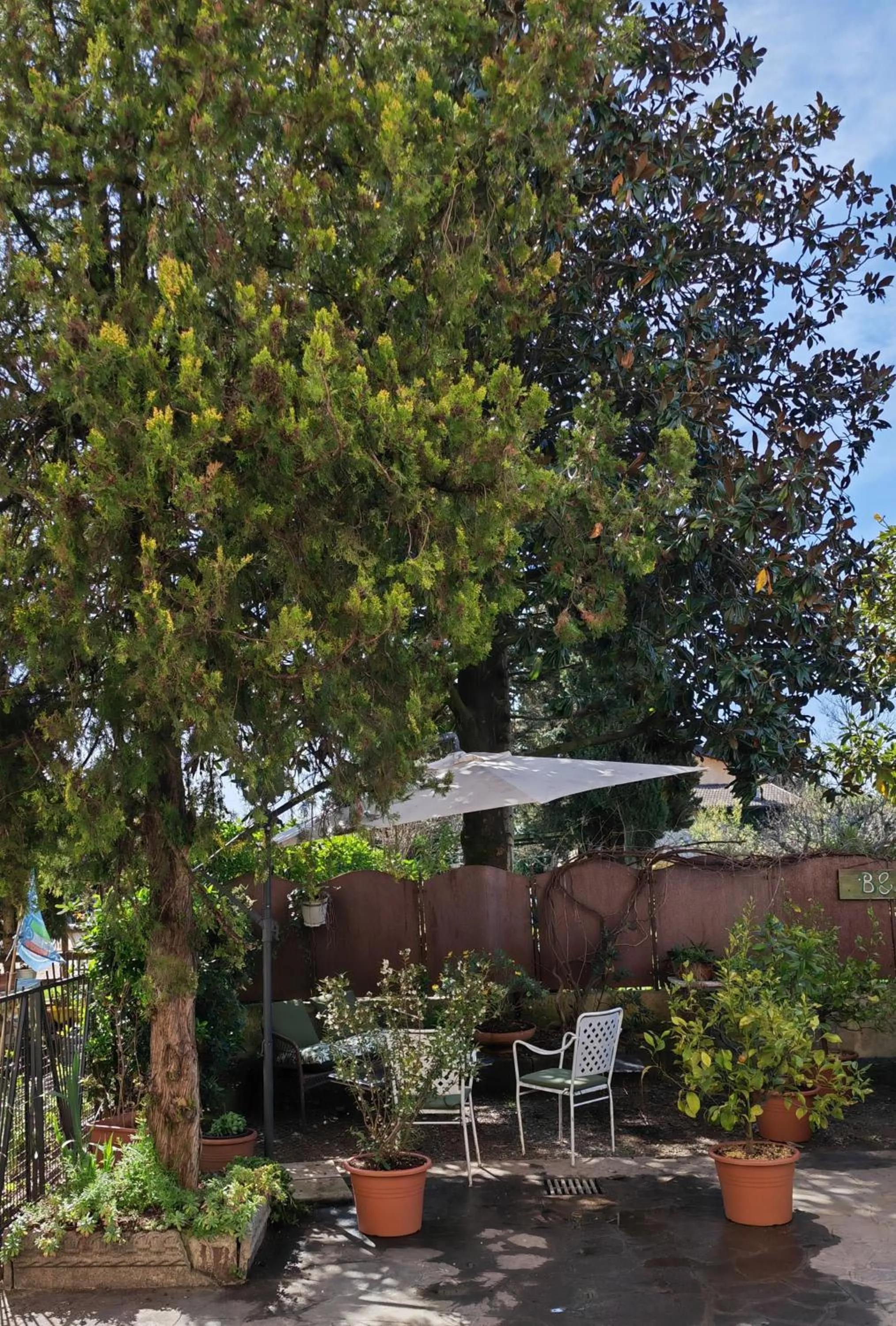 Spring in B&B LaMaGia di Corte Moronati