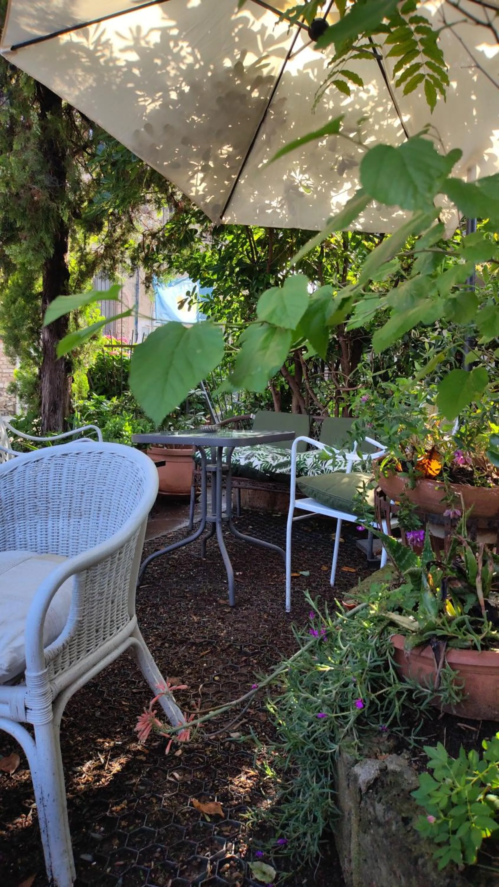 B&B LaMaGia di Corte Moronati