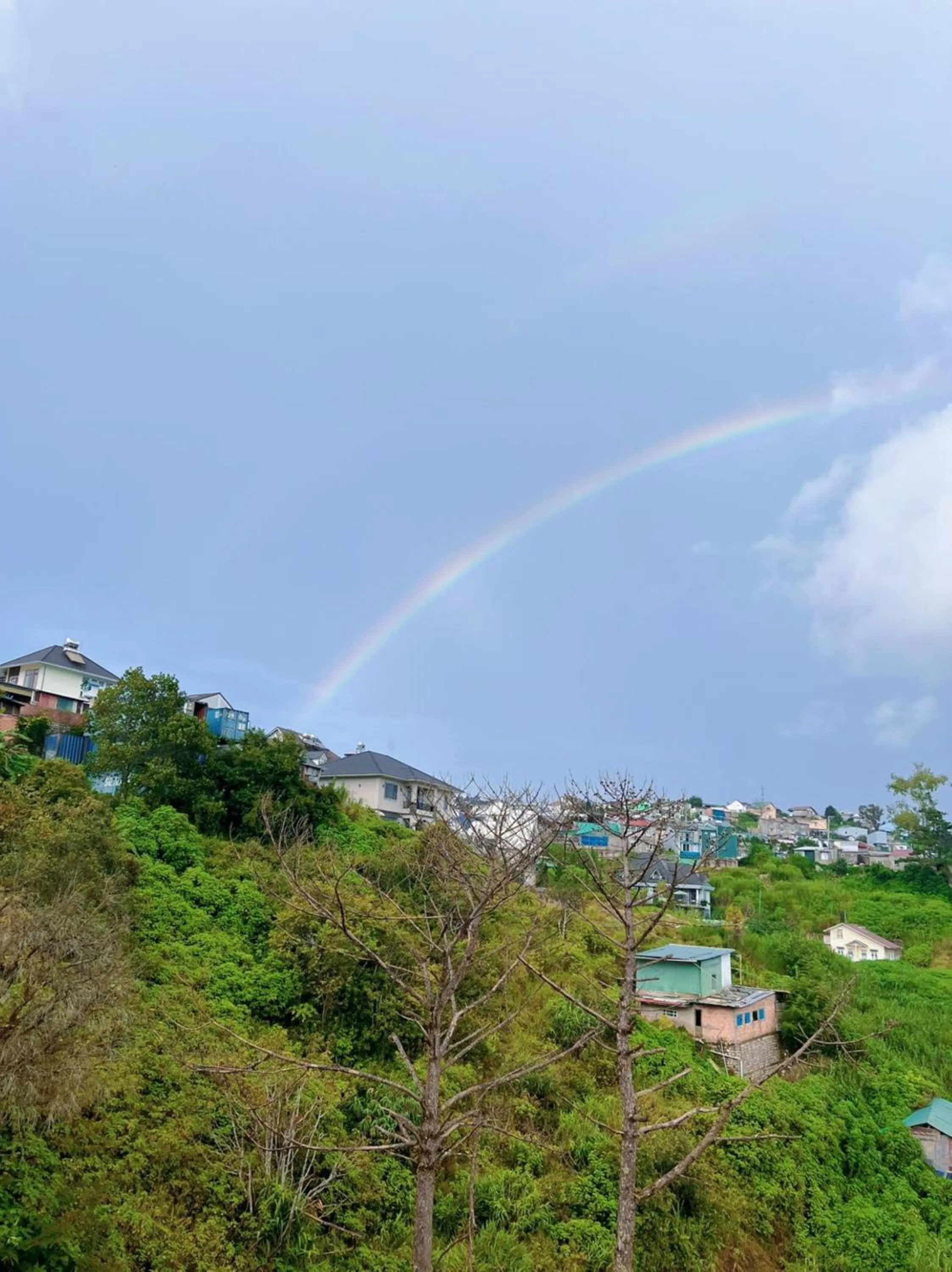 Natural landscape in Belle House Đà Lạt