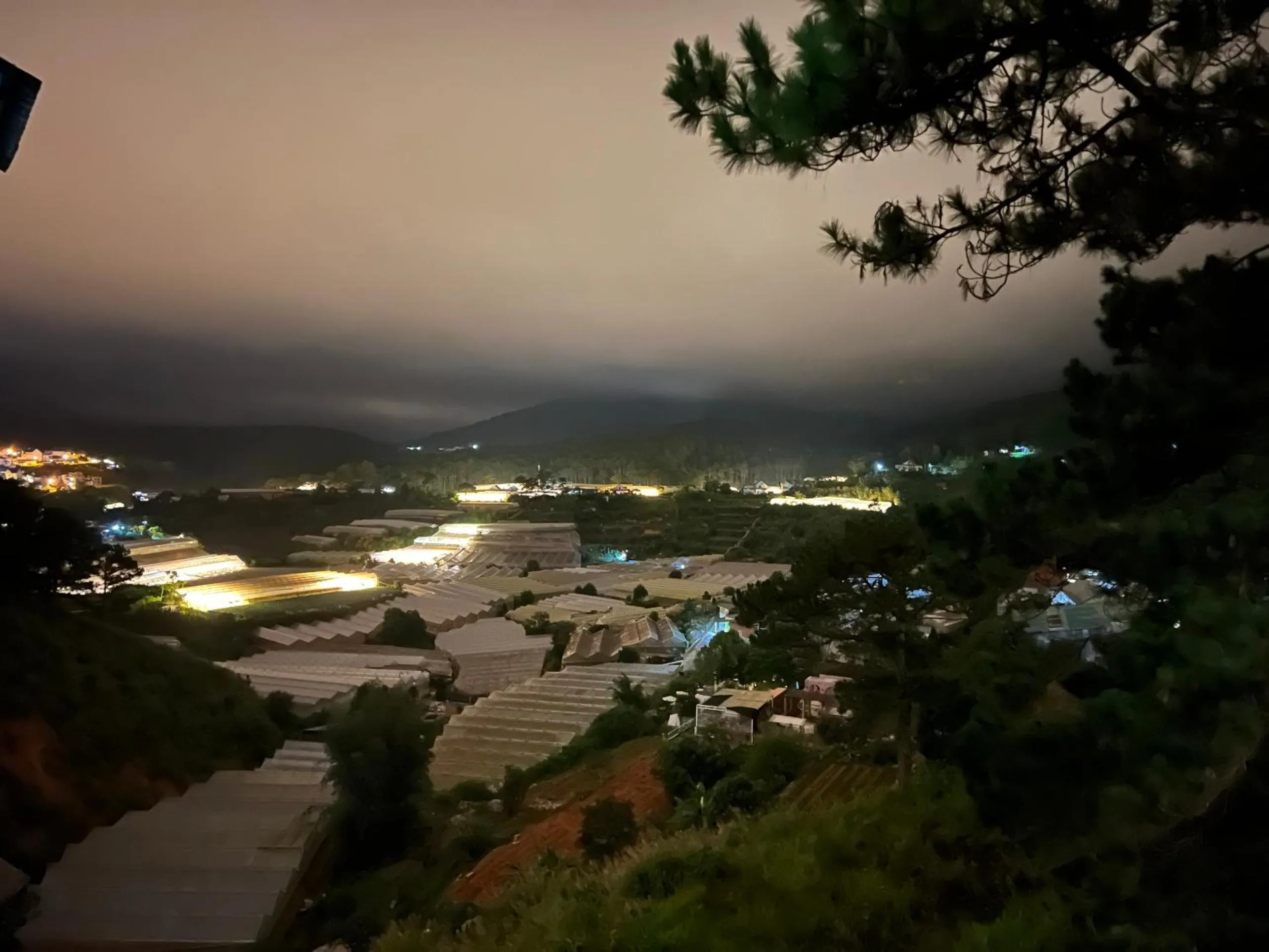 Natural landscape in Belle House Đà Lạt