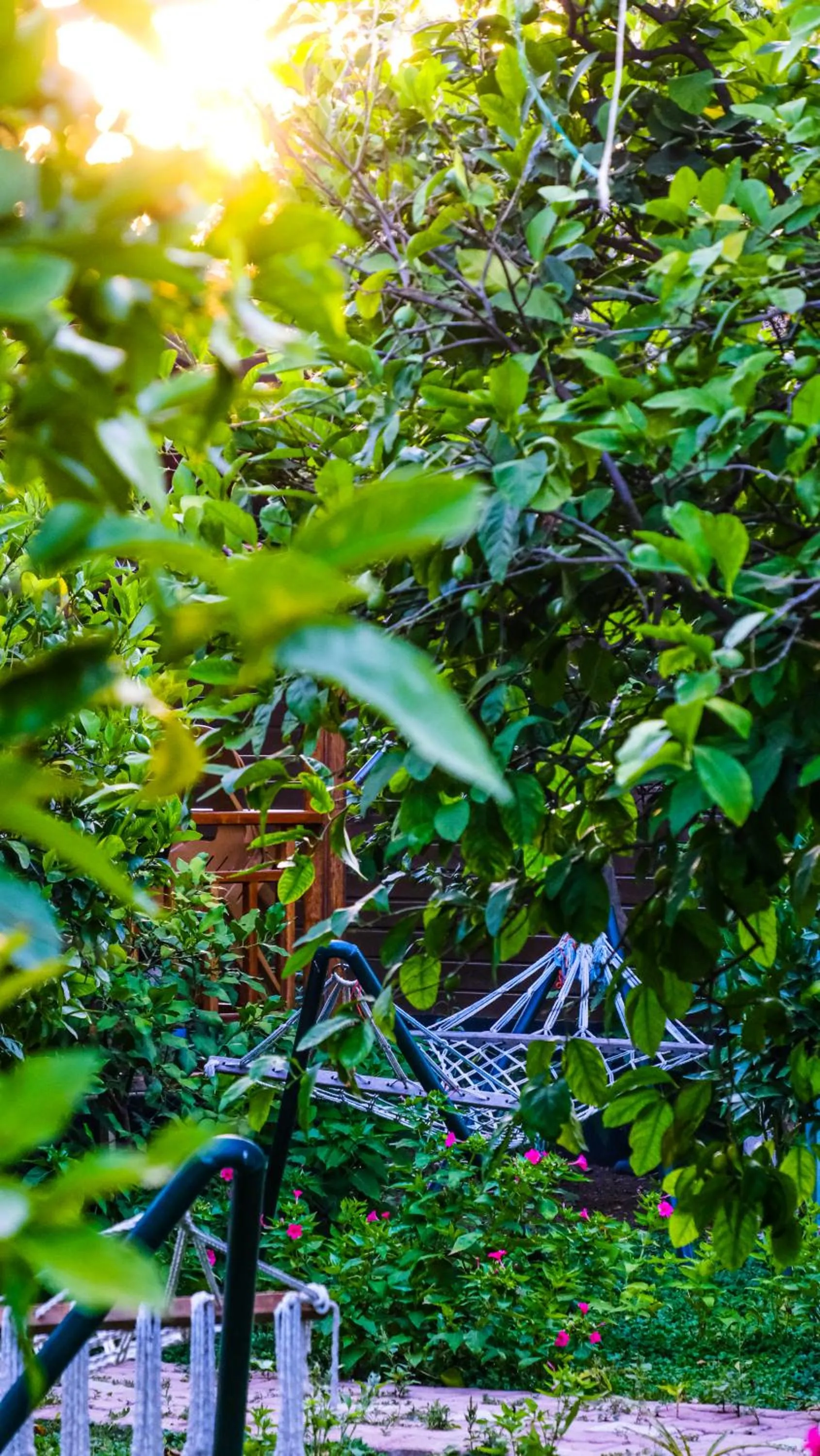 Garden in Lemon Garden Lodge