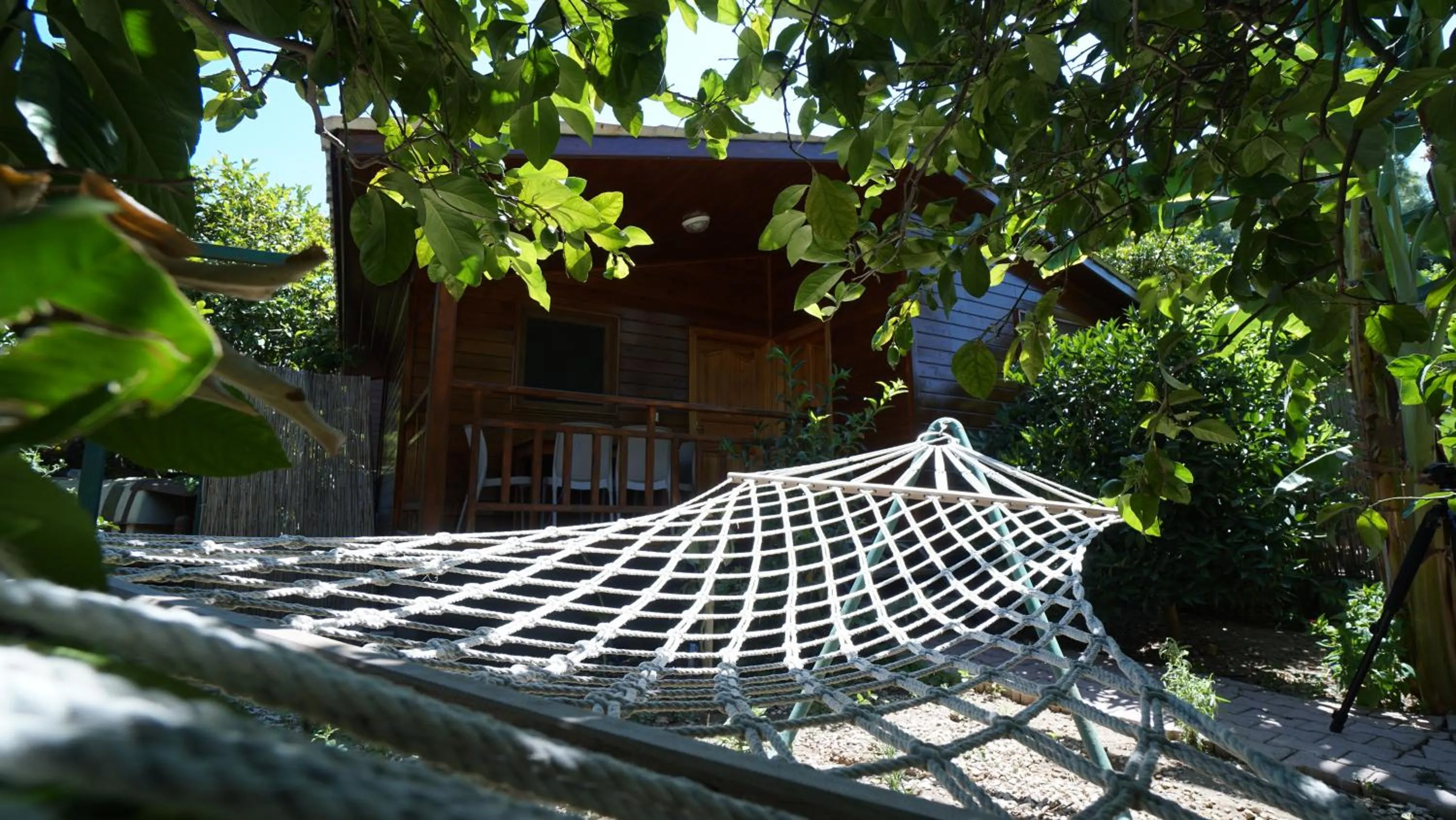 Two-Bedroom Bungalow in Lemon Garden Lodge