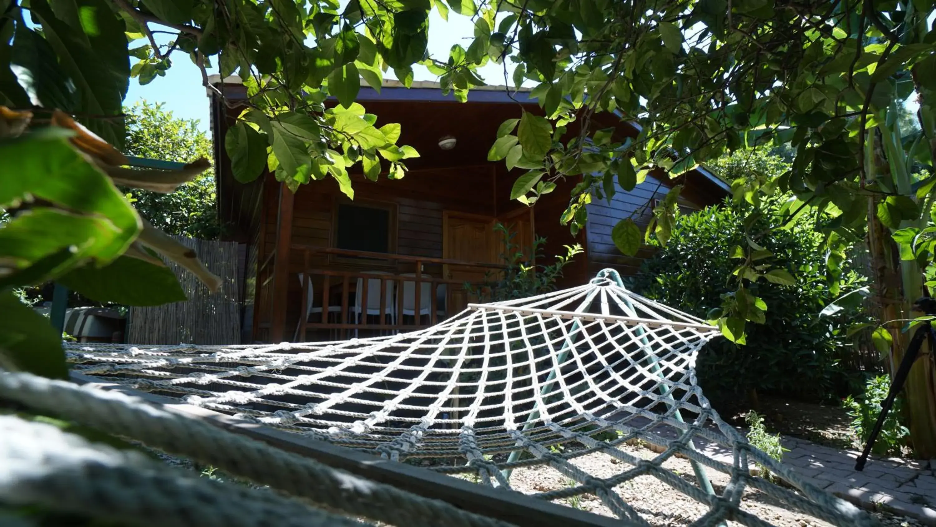 Two-Bedroom Bungalow in Lemon Garden Lodge Two-Bedroom Bungalow in Lemon Garden Lodge