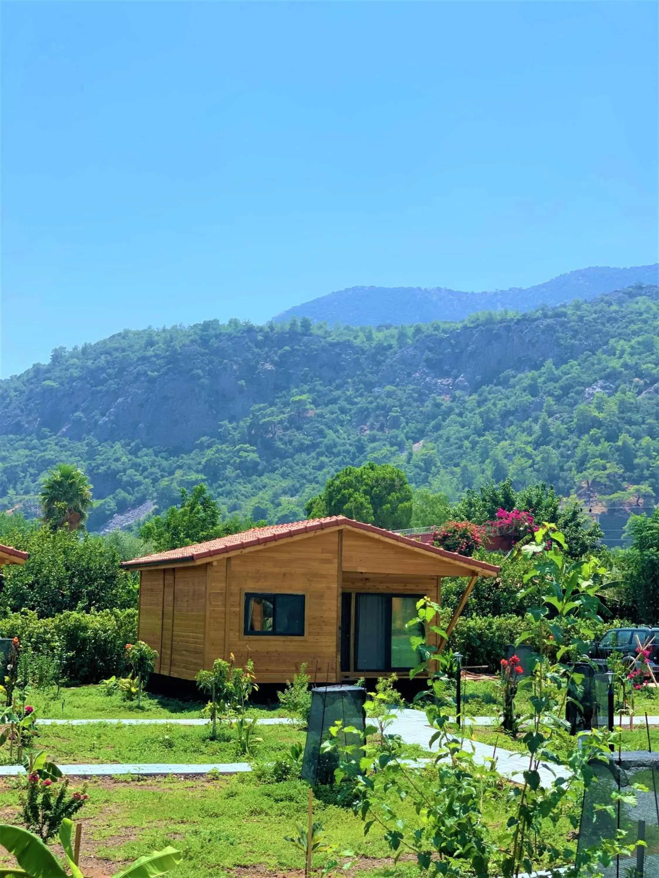 Deluxe Suite in Lemon Garden Lodge