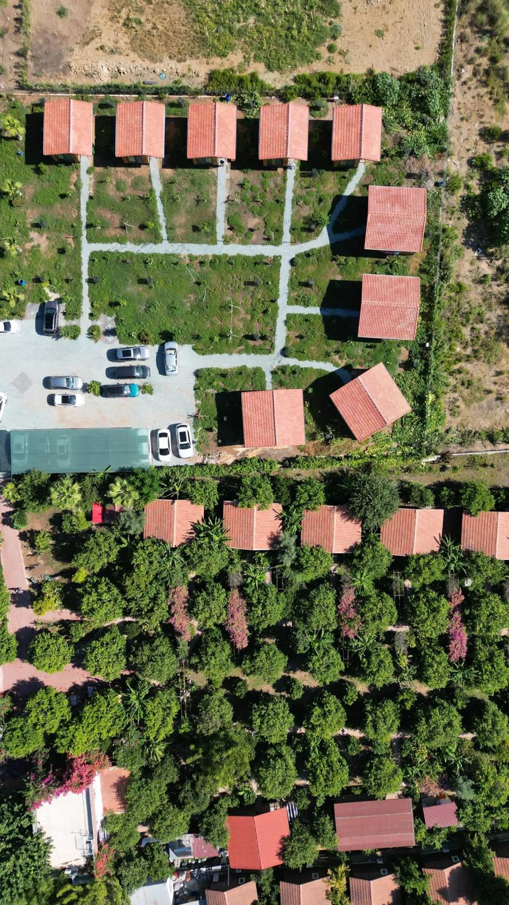 Garden in Lemon Garden Lodge