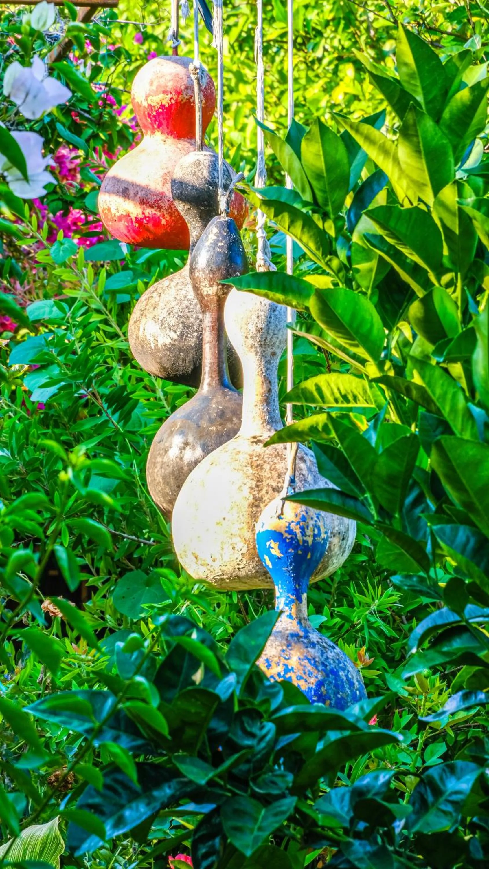 Garden in Lemon Garden Lodge