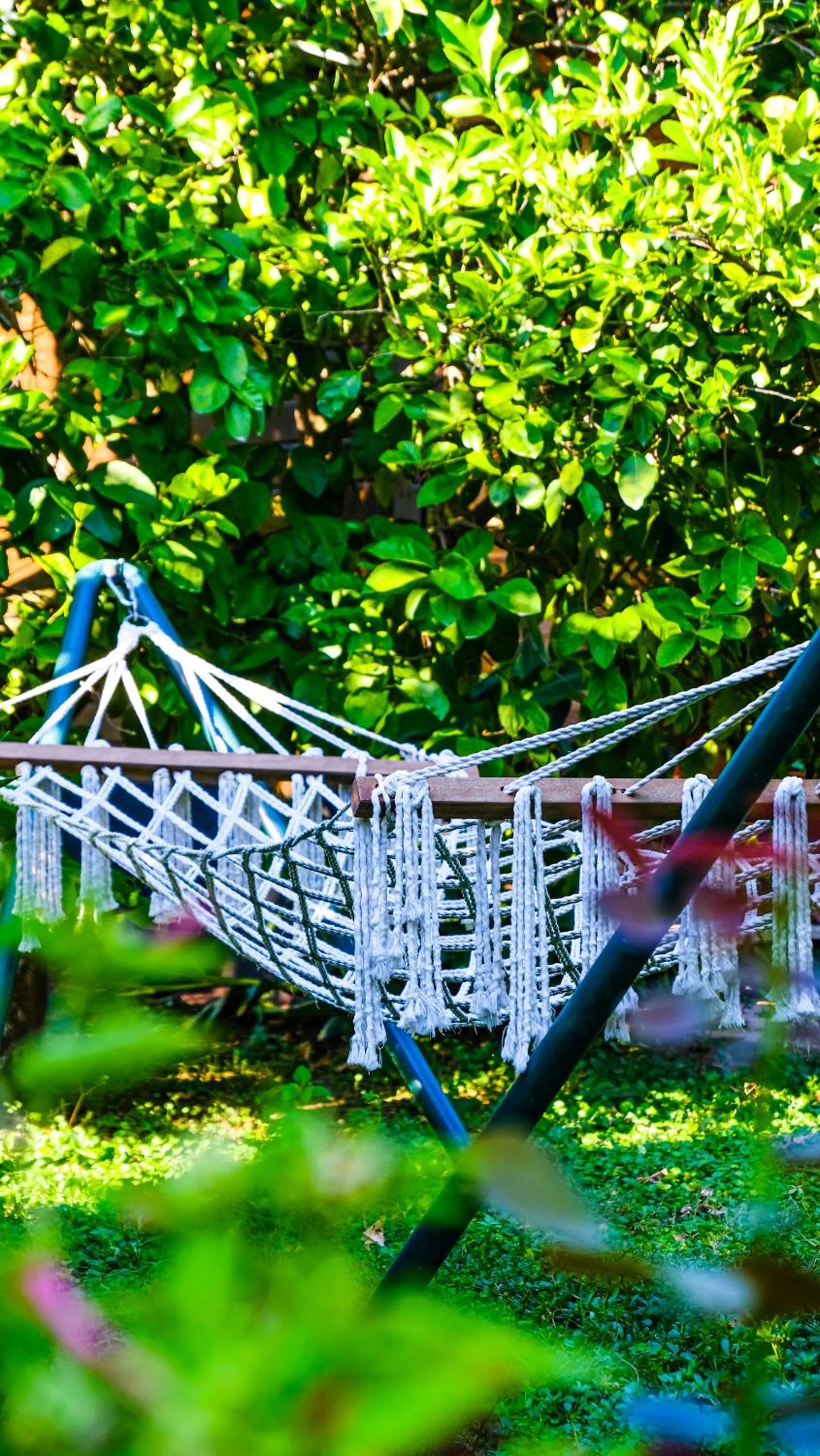 Garden in Lemon Garden Lodge