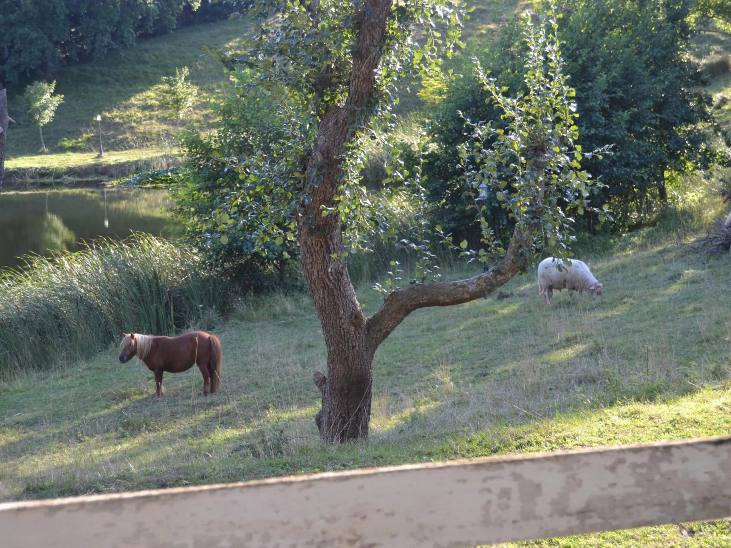 View (from property/room) in Casona Dos Lagos