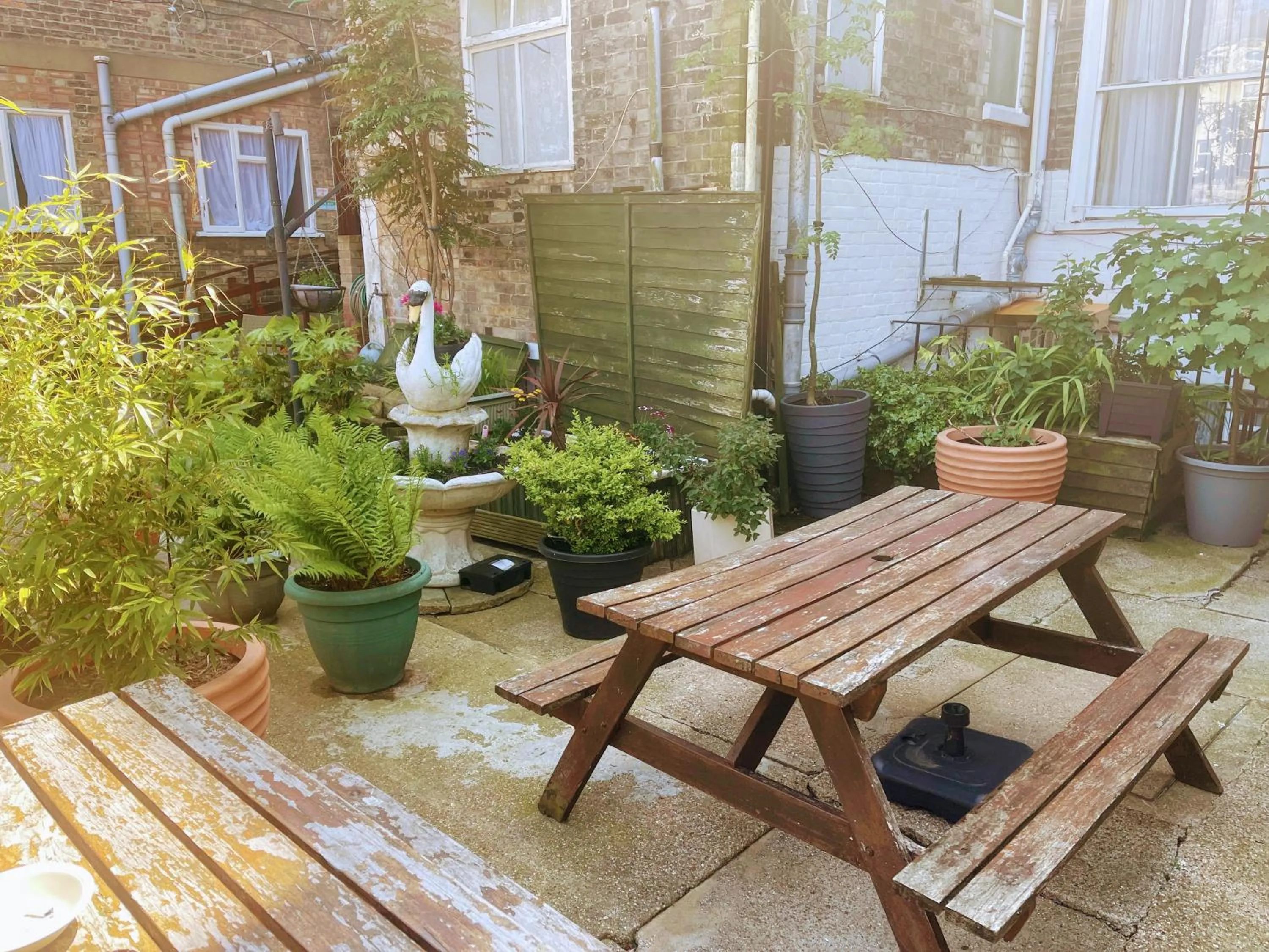 Garden in St George Hotel Great Yarmouth